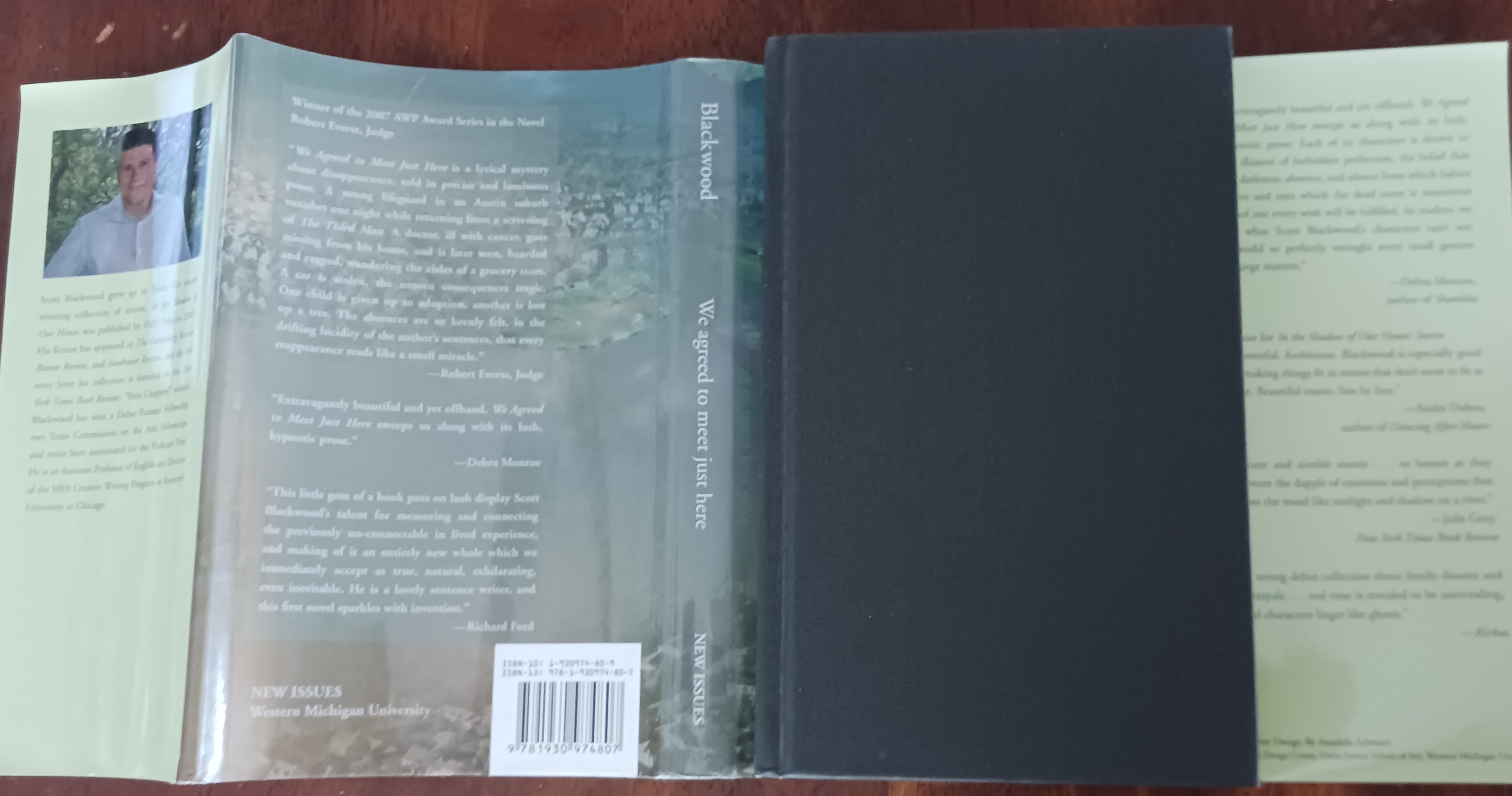 We Agreed To Meet Just Here: A Novel (New Issues Poetry and Prose series)