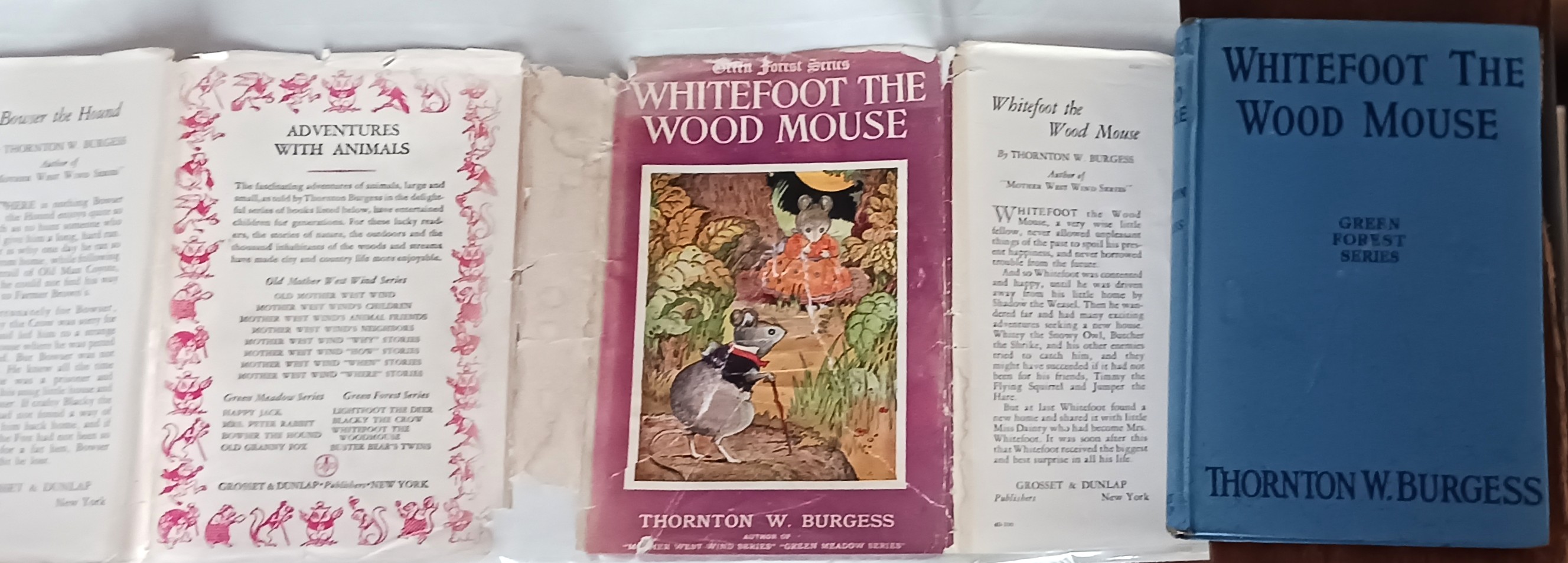 Whitefoot the Wood Mouse (Green Forest Series)