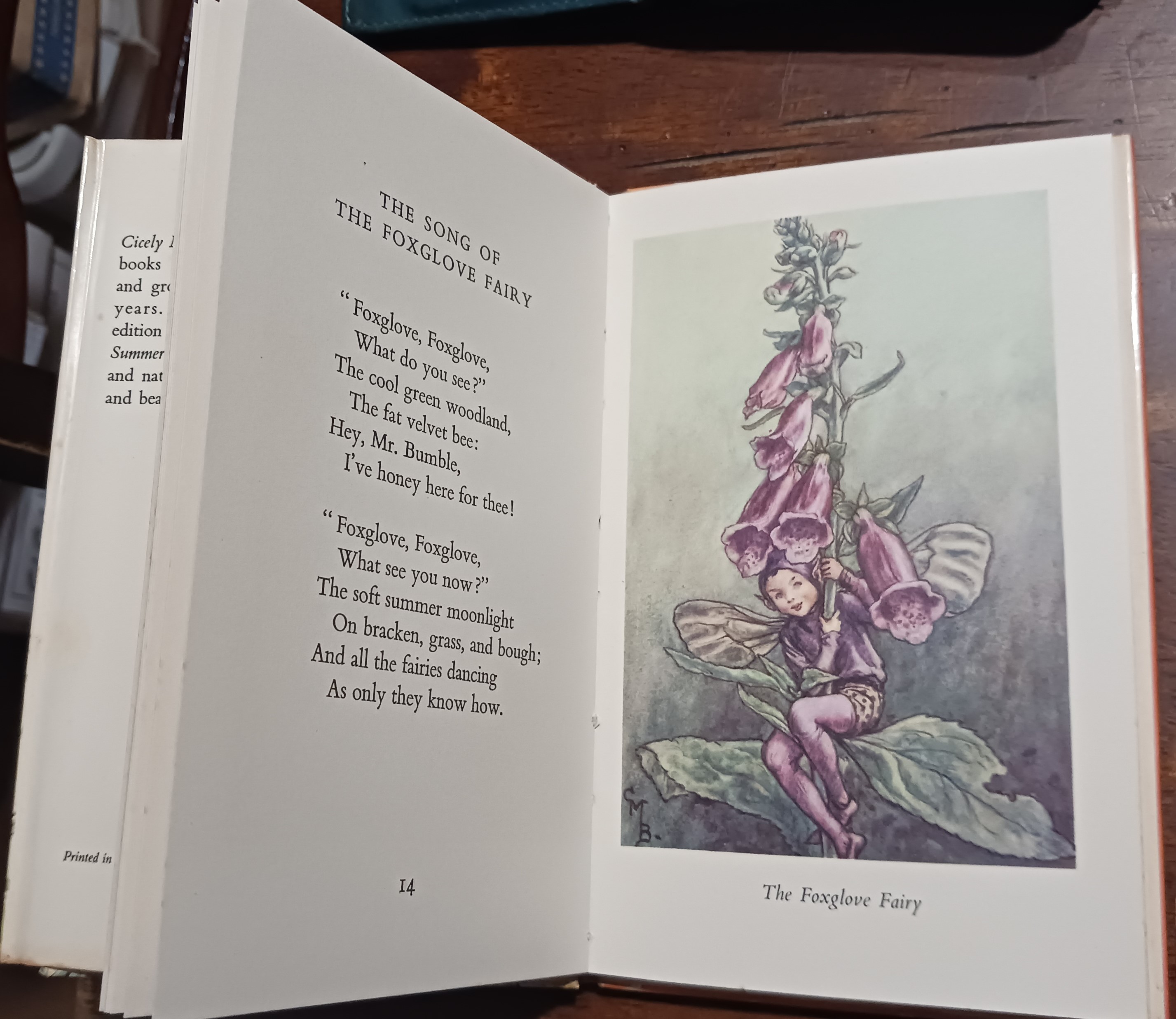 Flower Fairies of the Summer