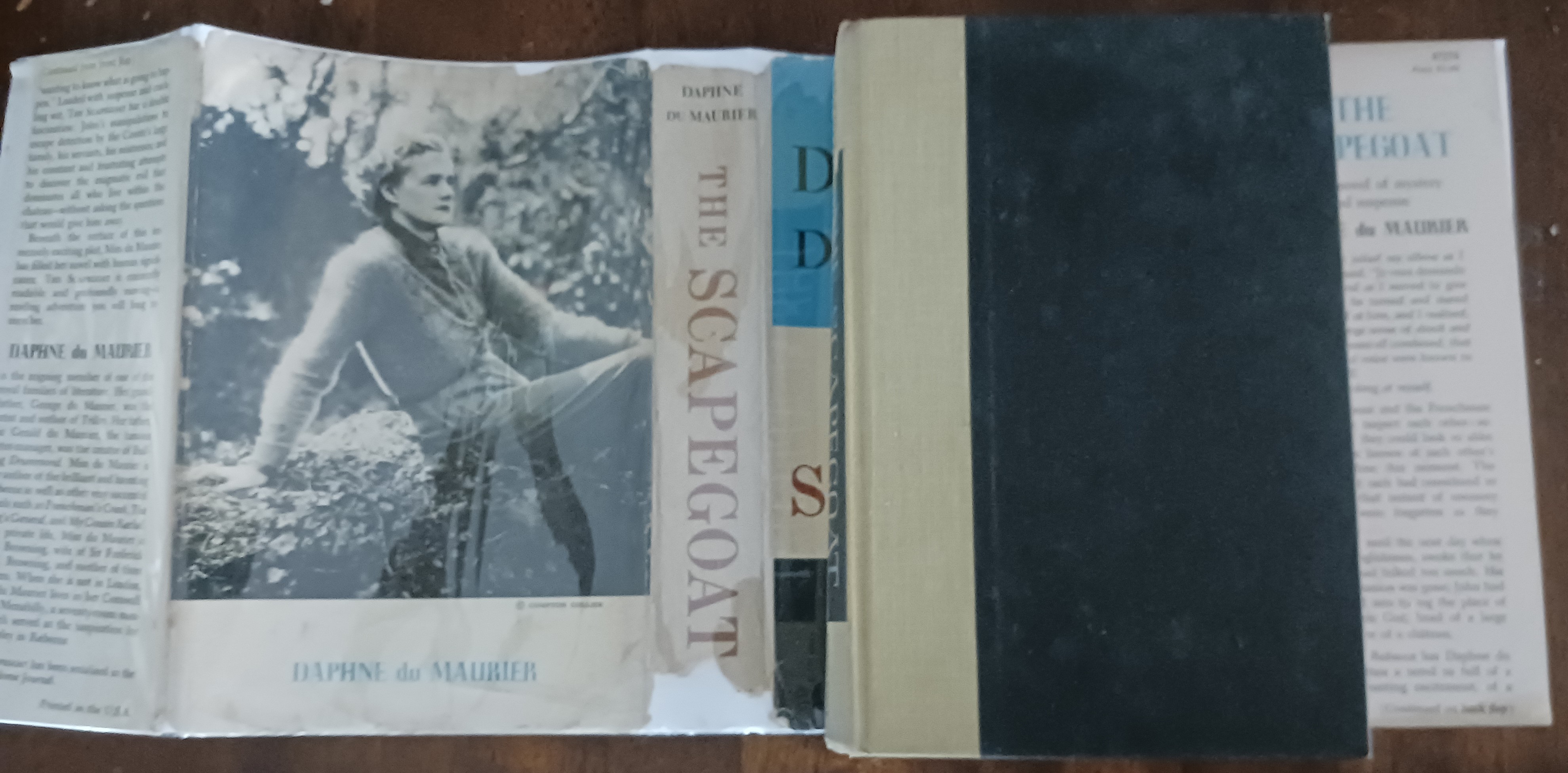 Image for The Scapegoat The Scapegoat