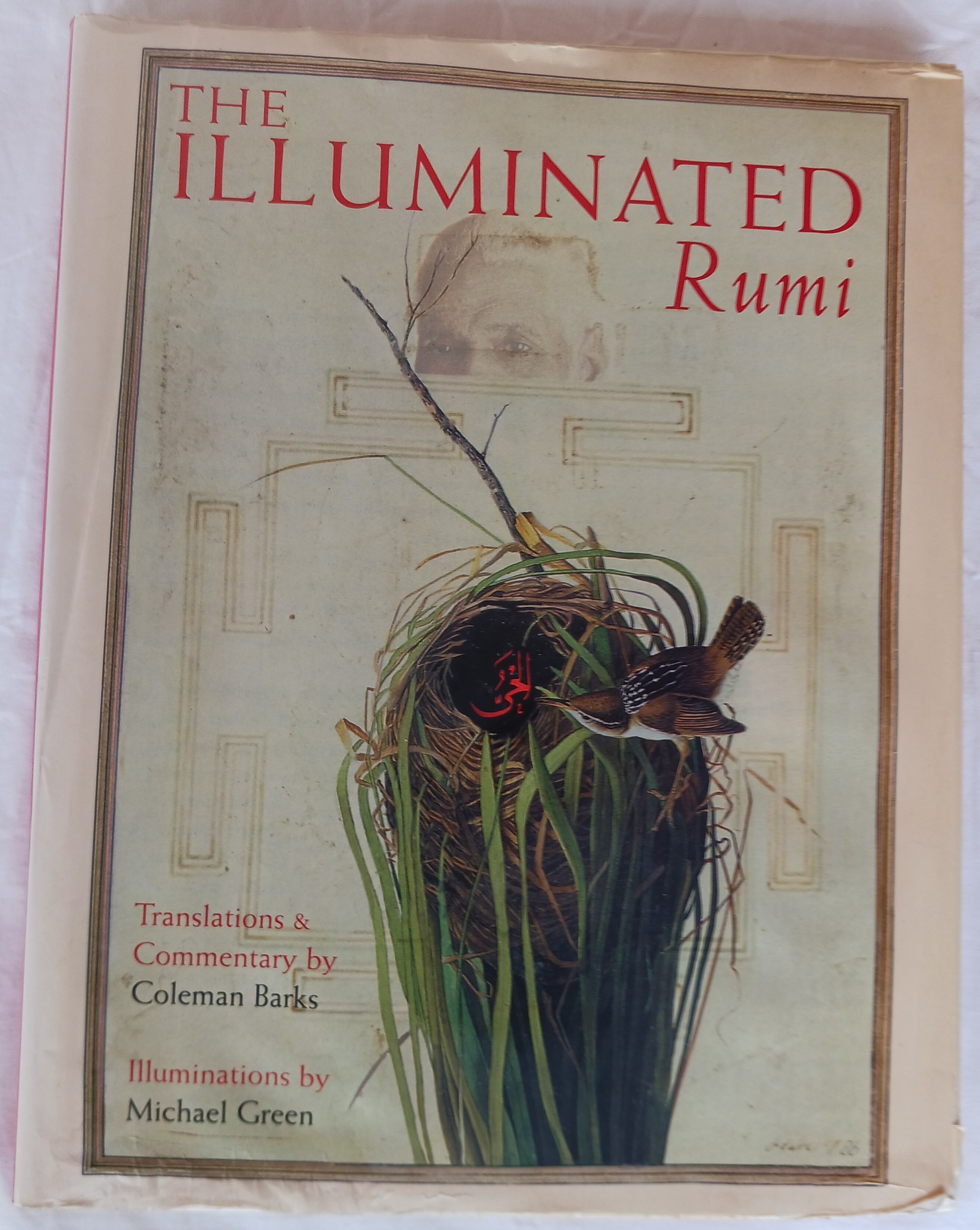 Image for The Illuminated Rumi