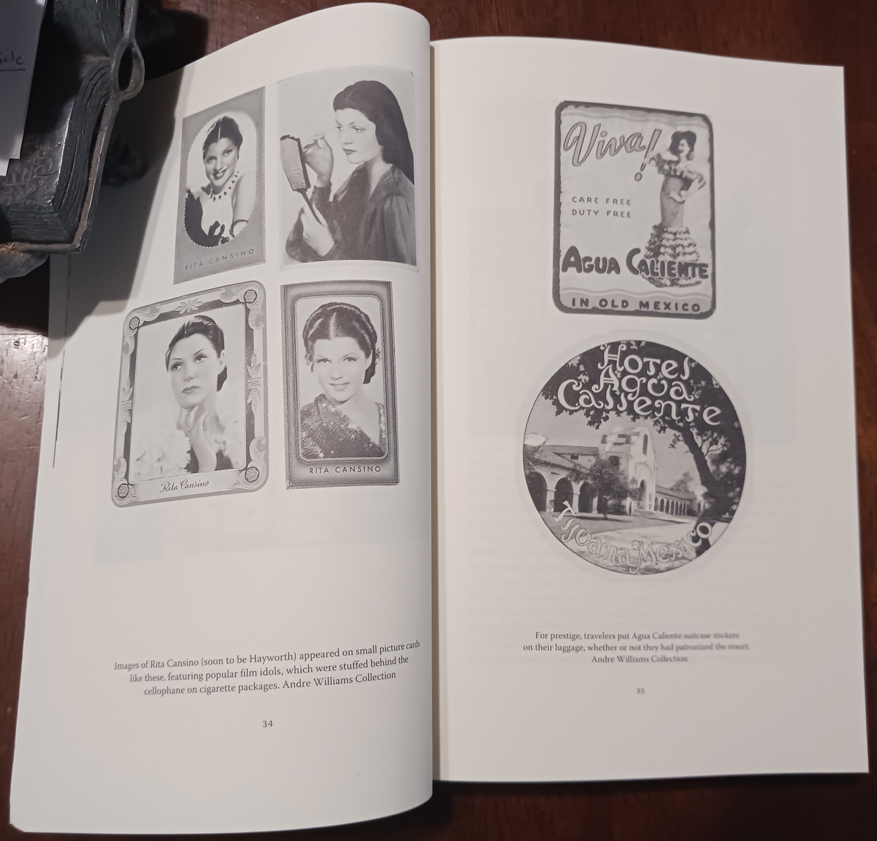 Satan's Playground: Mobsters and Movie Stars at America's Greatest Gaming Resort (American Encounters/Global Interactions)