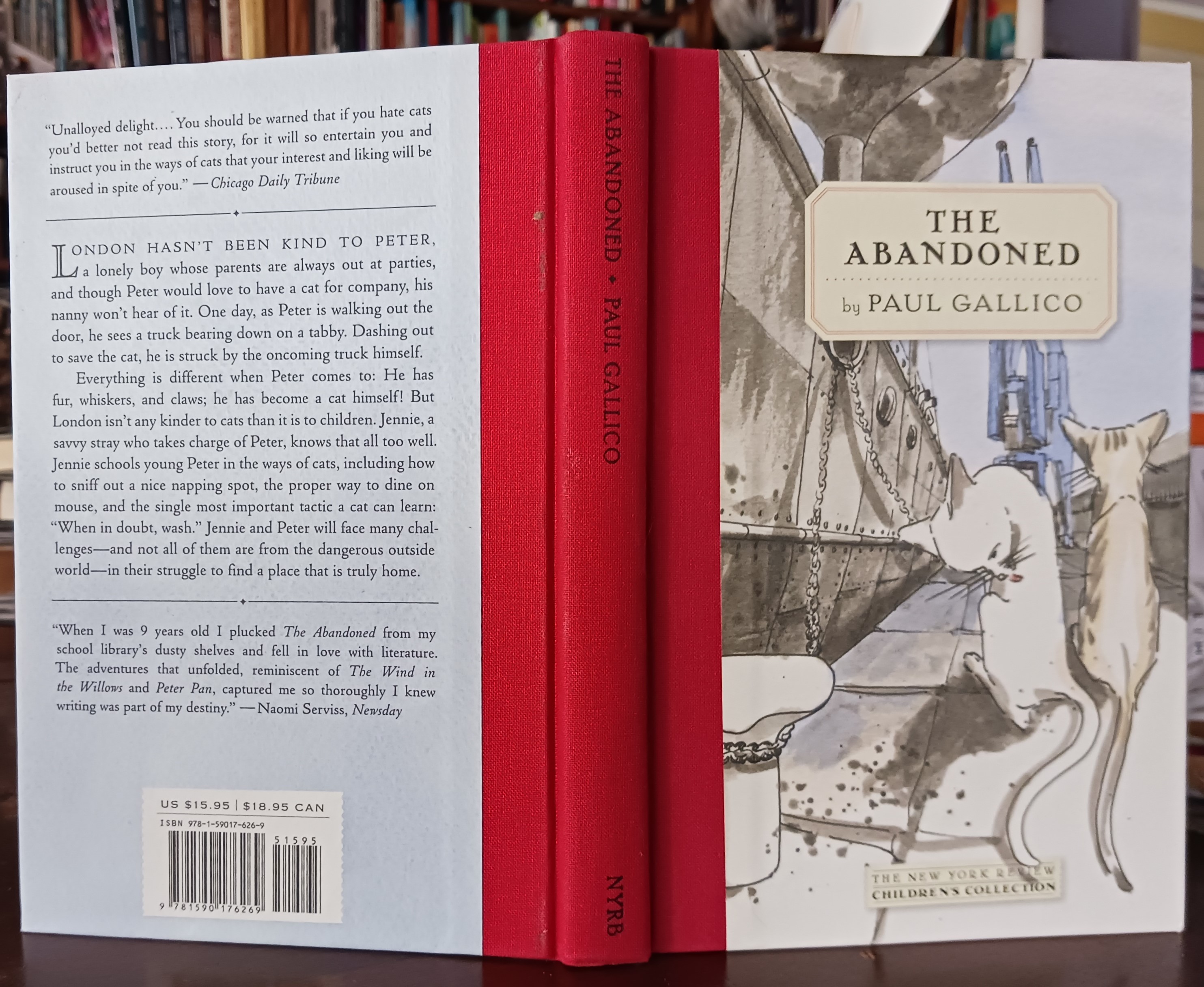 The Abandoned (New York Review Children's Collection)