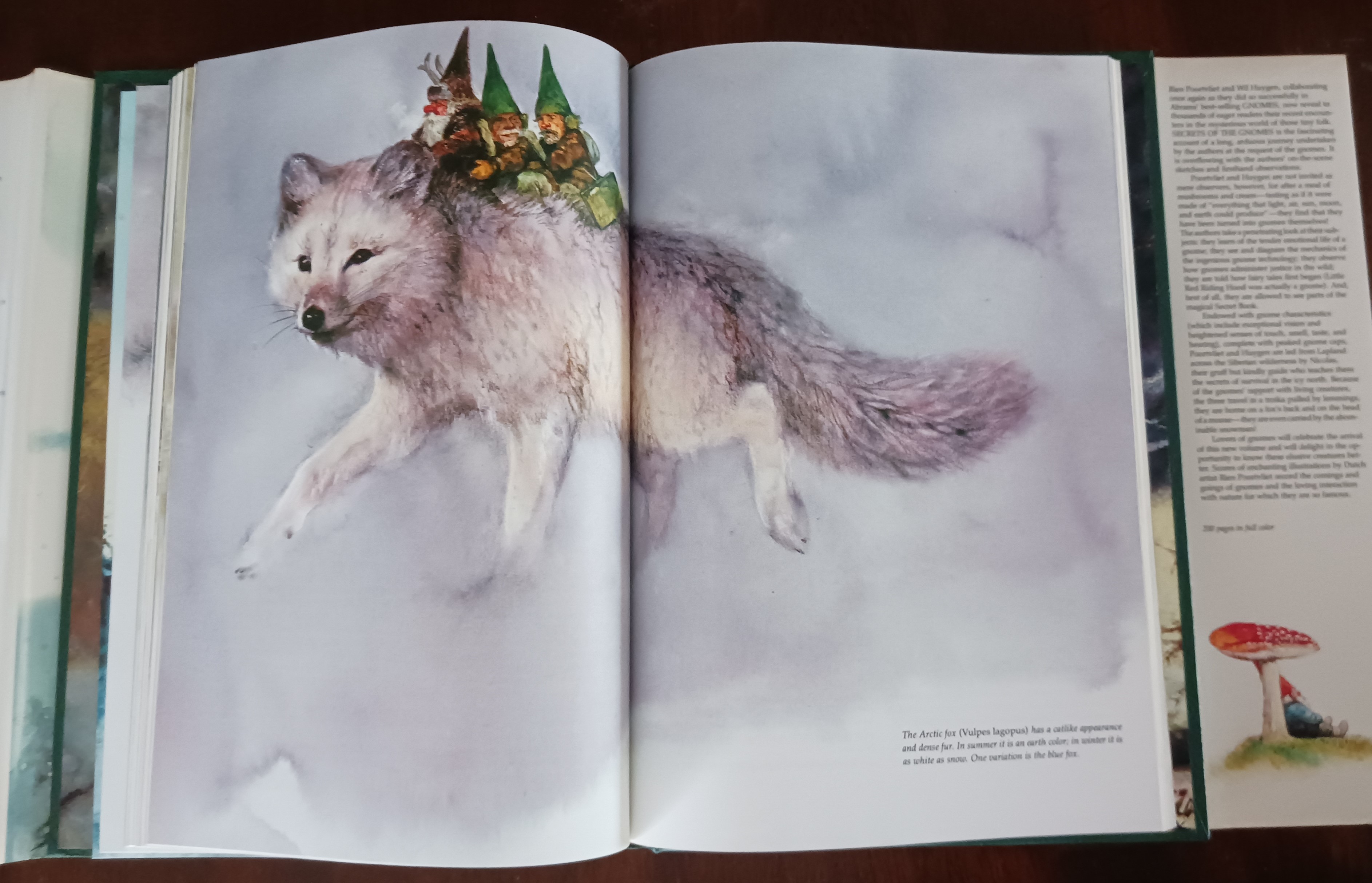 Image for Secrets of the Gnomes Secrets of the Gnomes