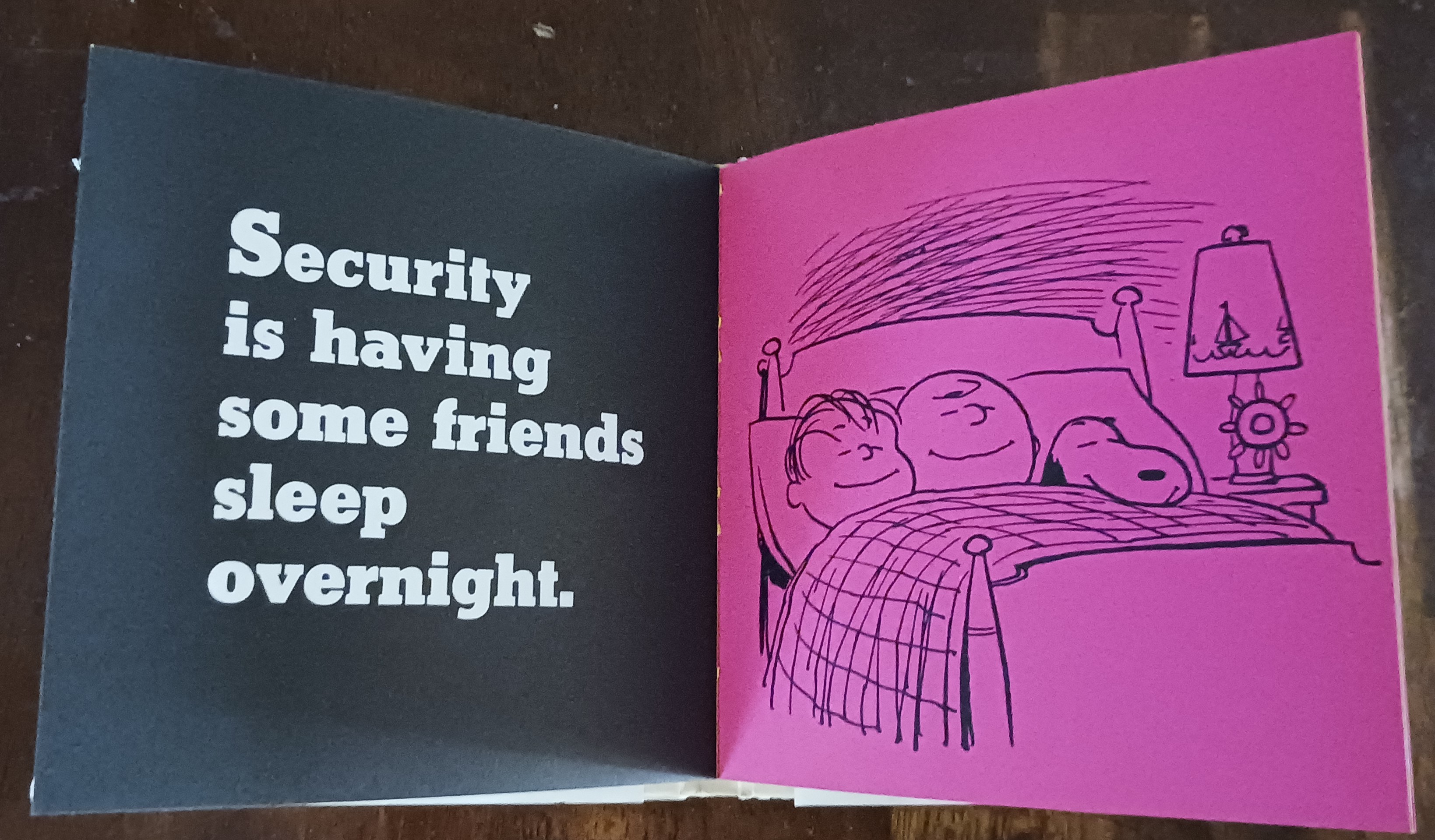 Security Is a Thumb and Blanket