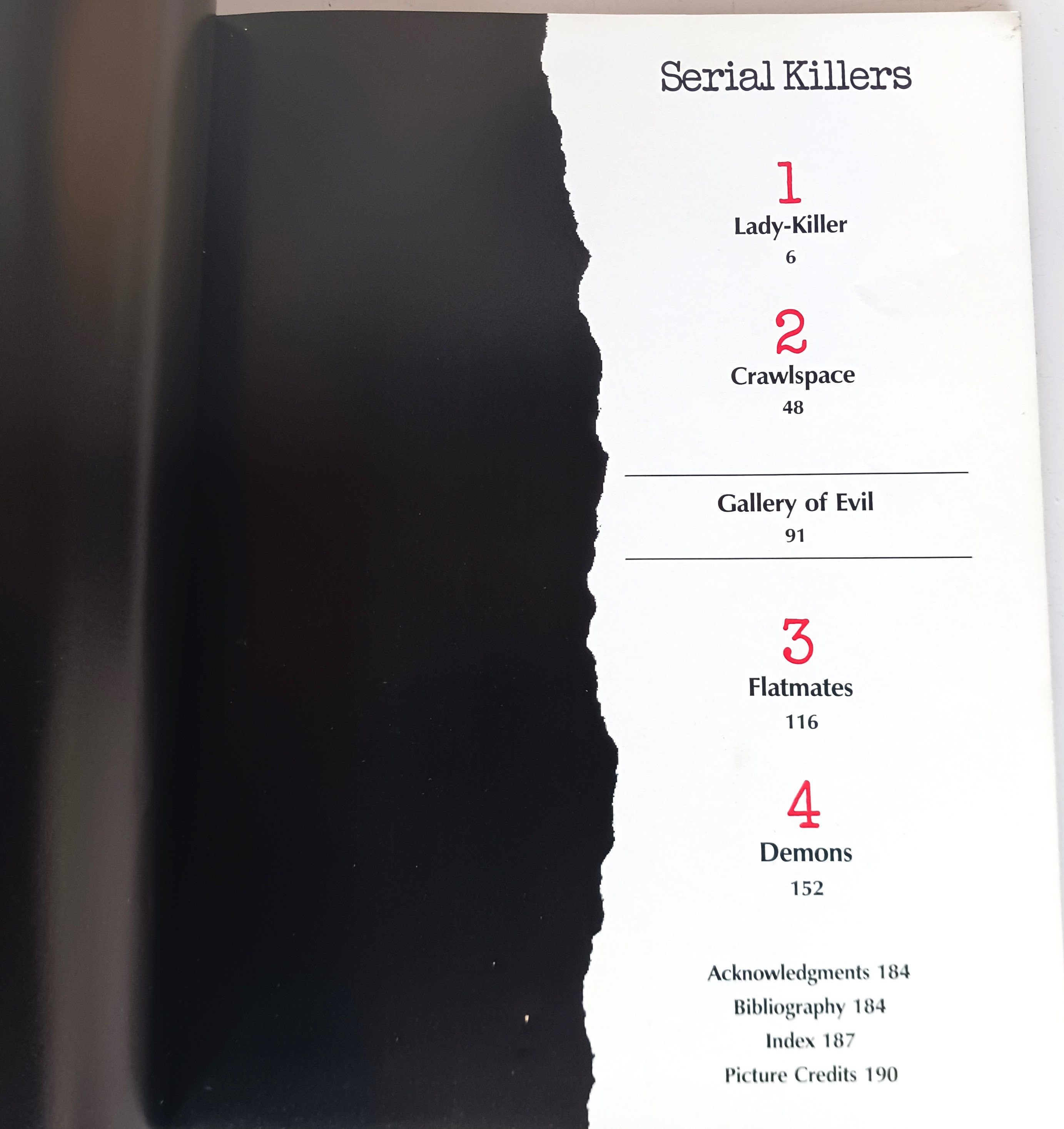 Image for True Crime: Serial Killers True Crime: Serial Killers