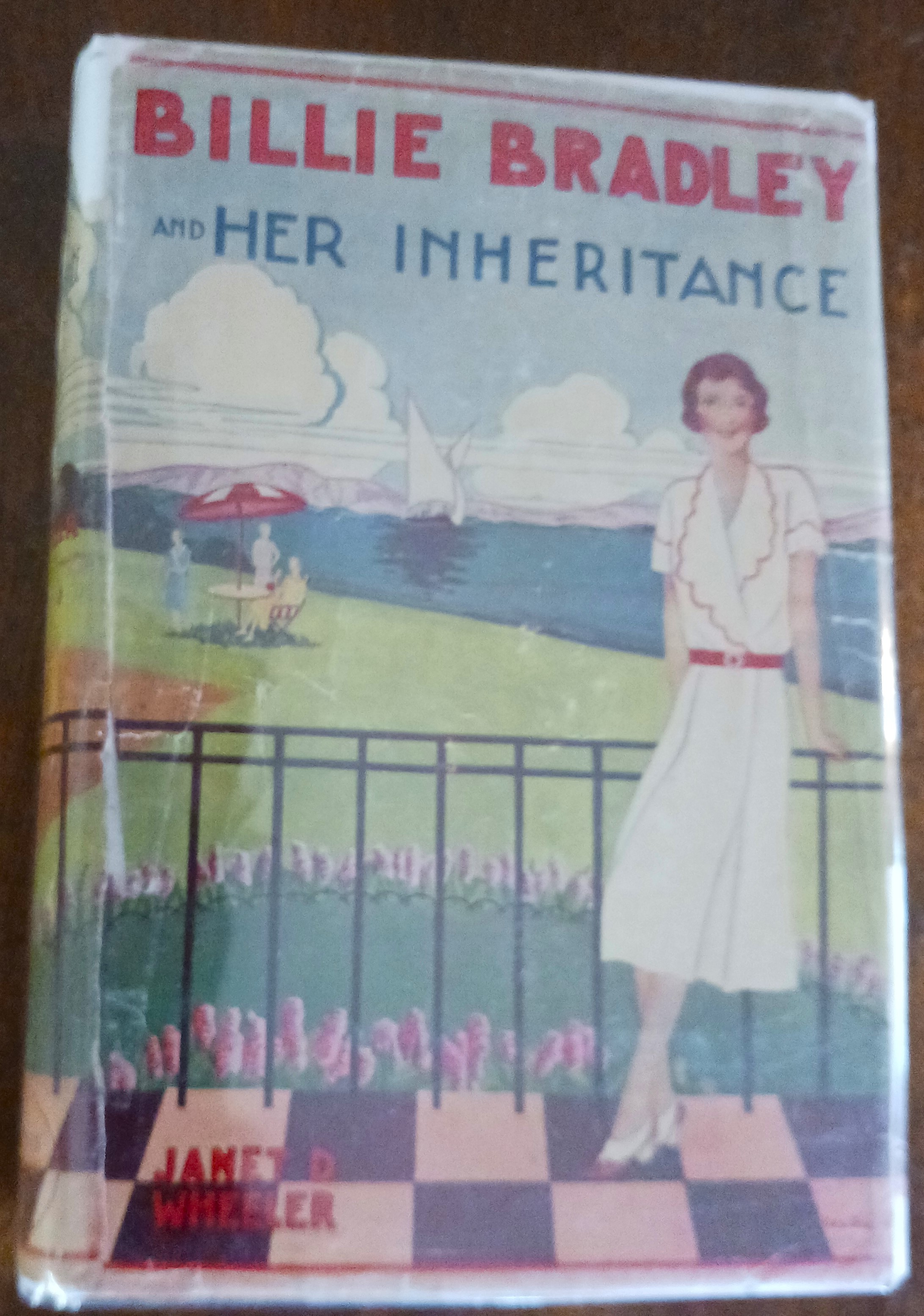 Billie Bradley and Her Inheritance or the Queer Homestead at Cherry Corners (Billie Bradley series)