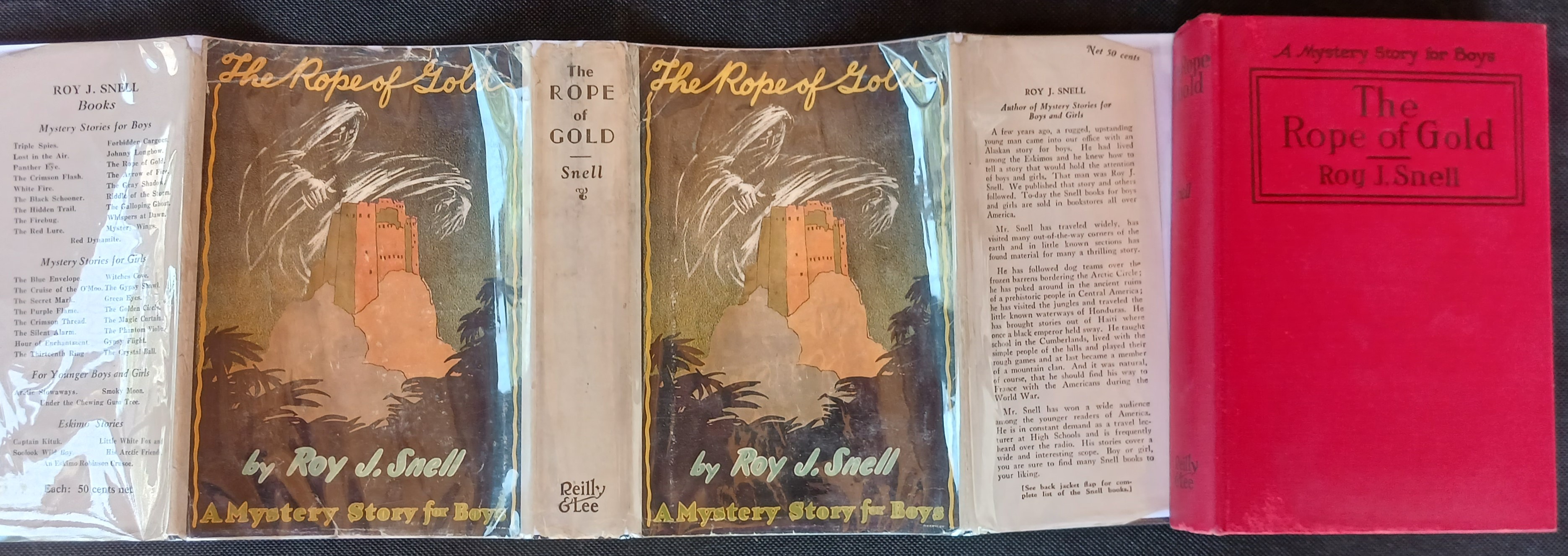 The Rope of Gold (Mystery Stories for Boys)