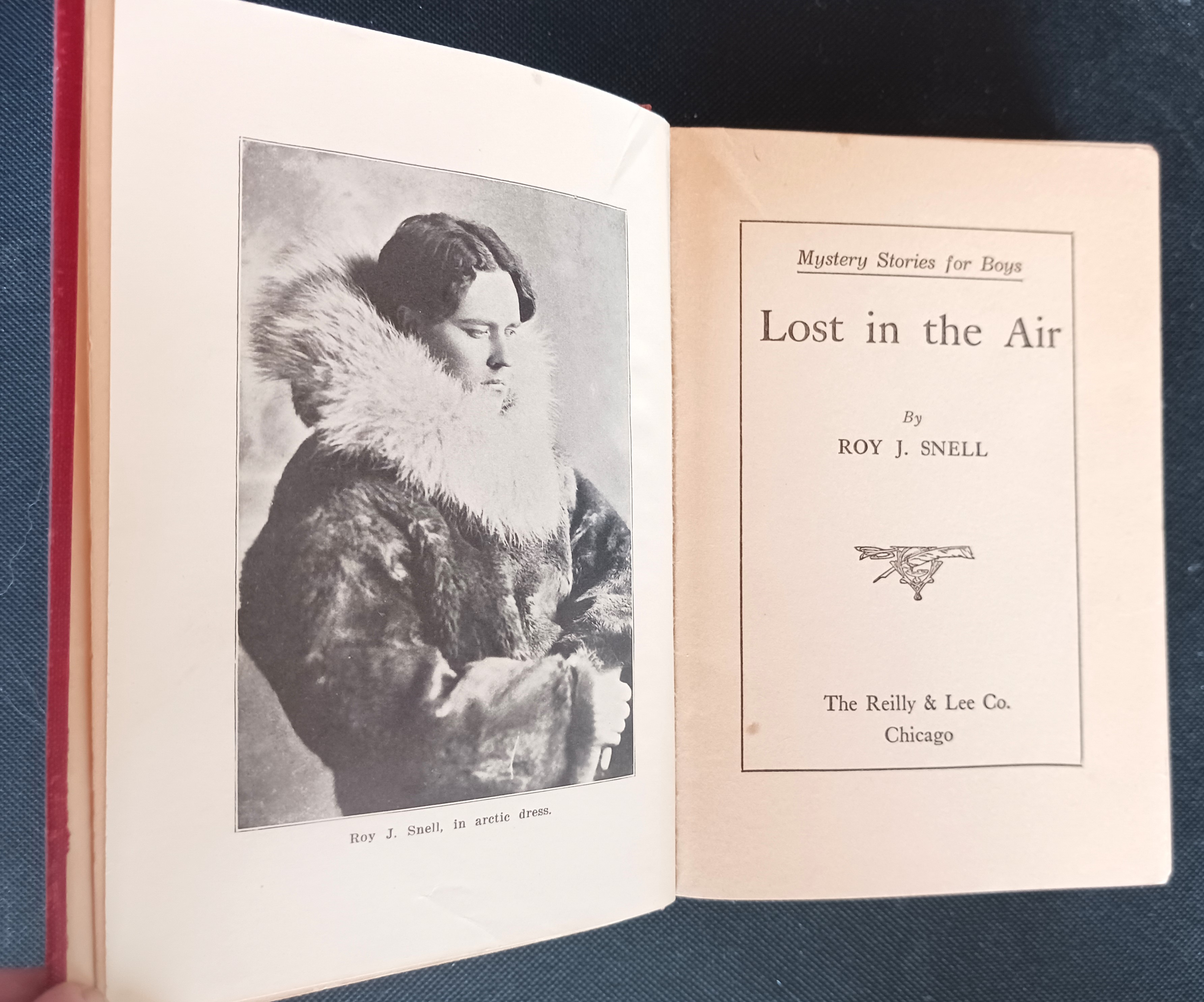 Lost in the Air (Mystery Stories for Boys)