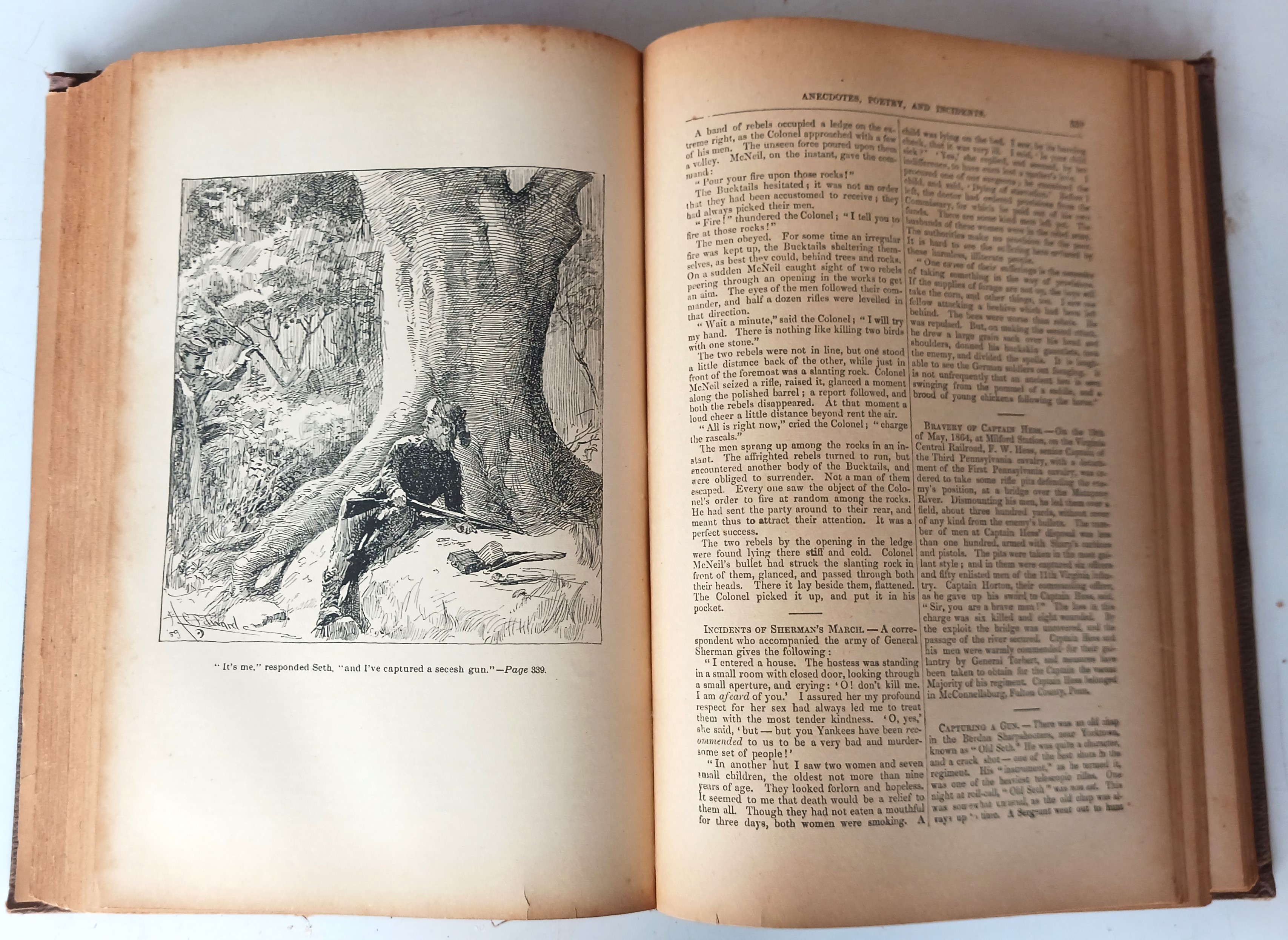 The Civil War in Song and Story 1860-1865