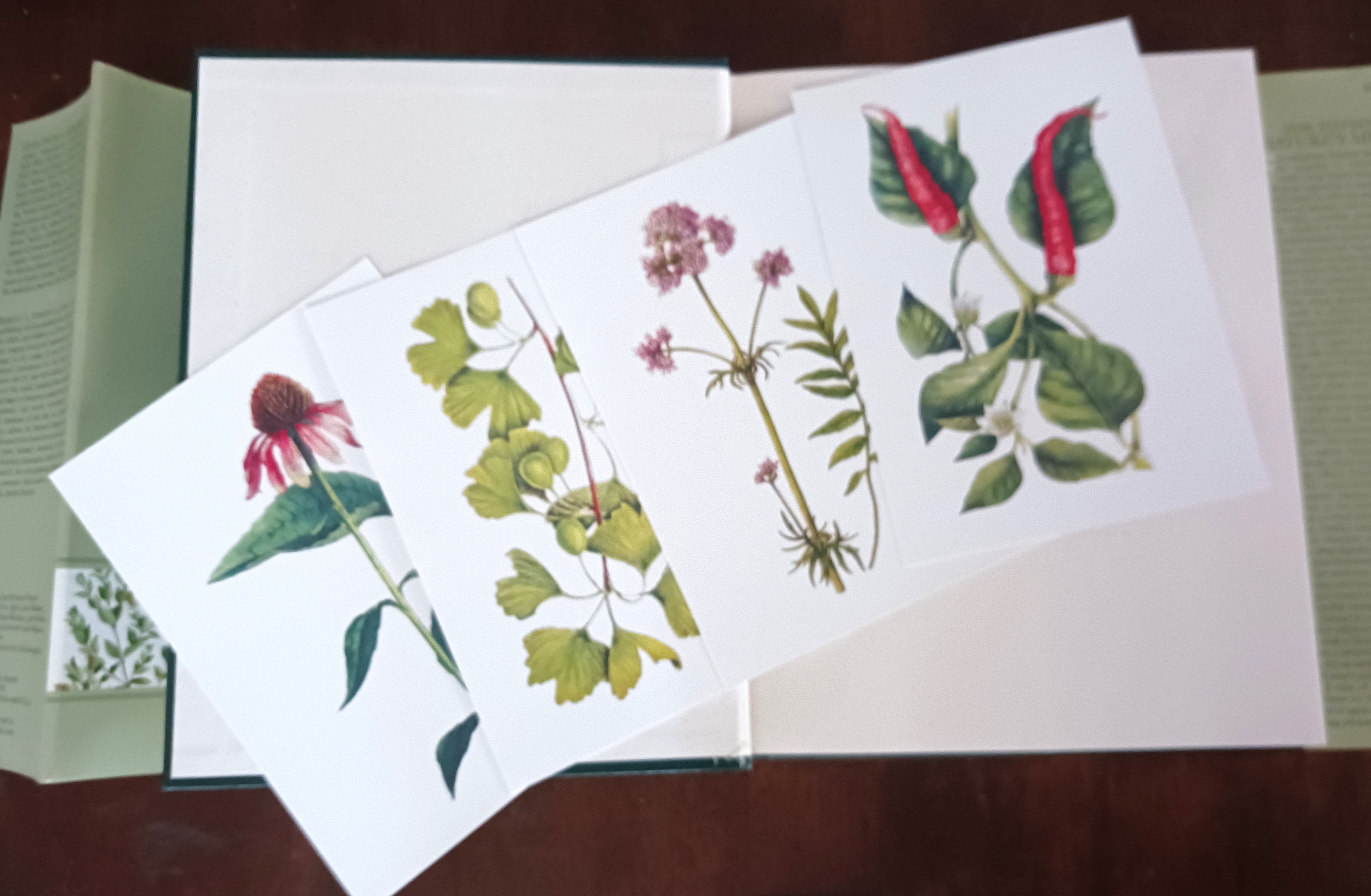 Desk Reference to Nature's Medicine