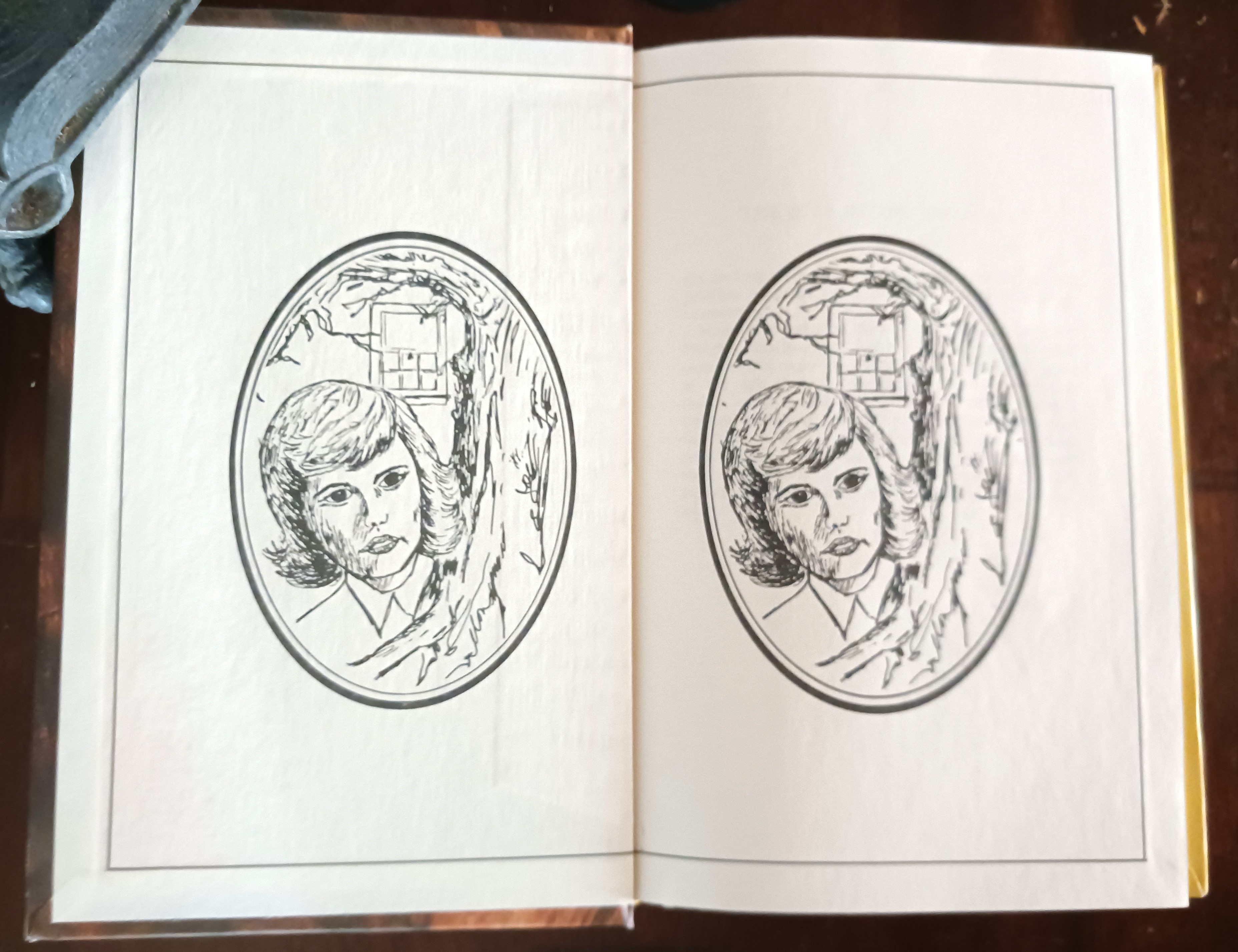 The Clue in the Jewel Box (Nancy Drew Mystery Stories)