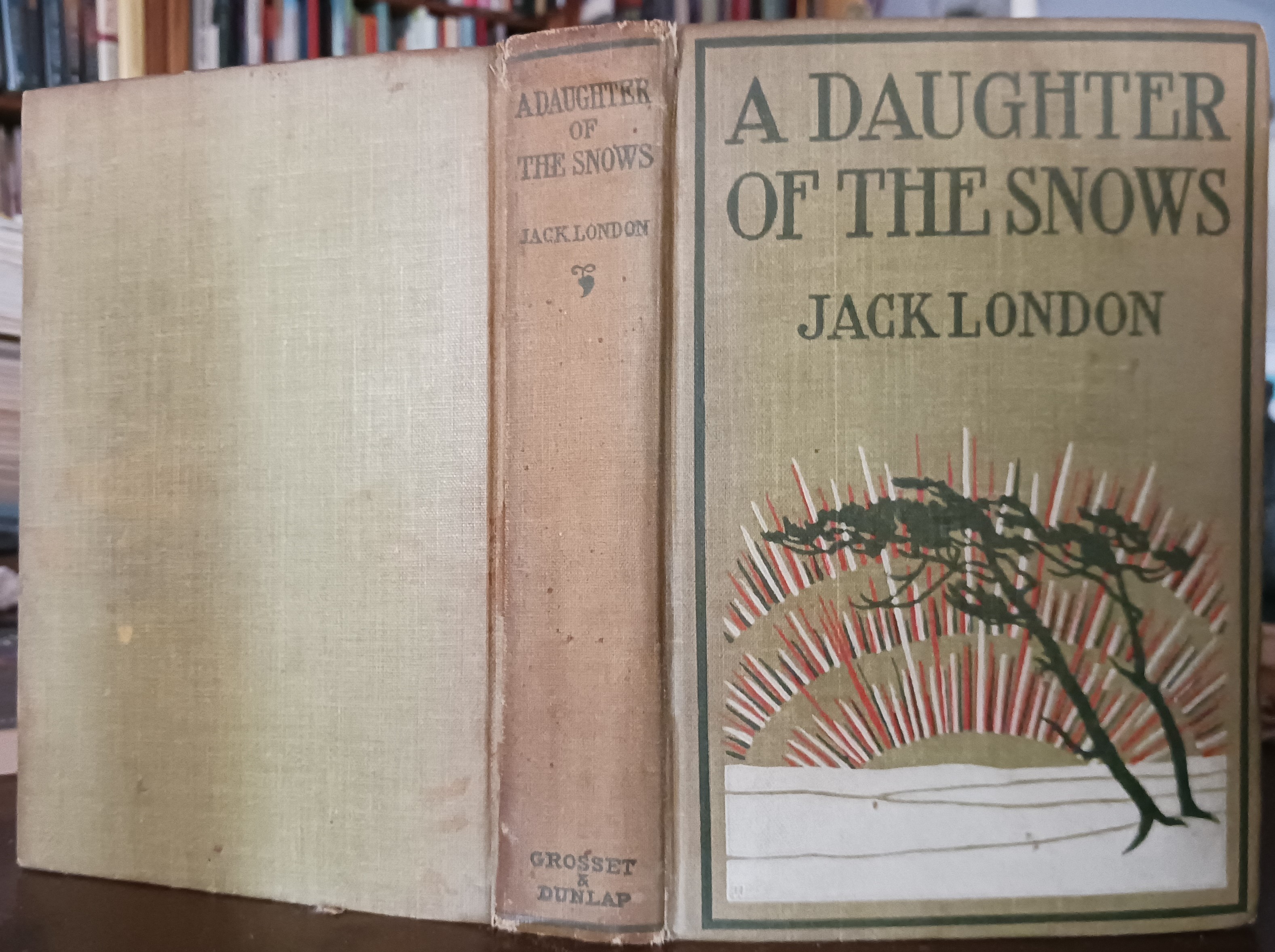 A Daughter of the Snows