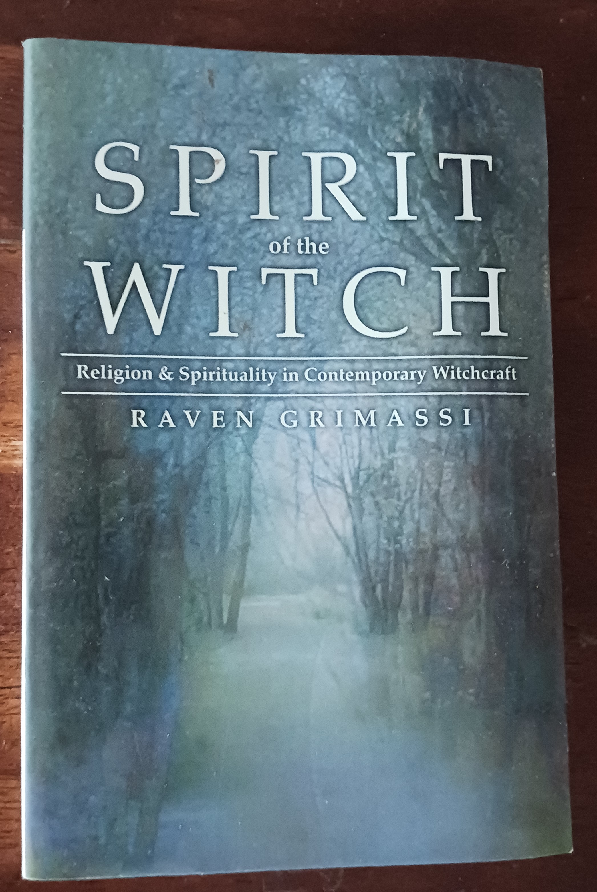 Spirit of the Witch: Religion & Spirituality in Contemporary Witchcraft