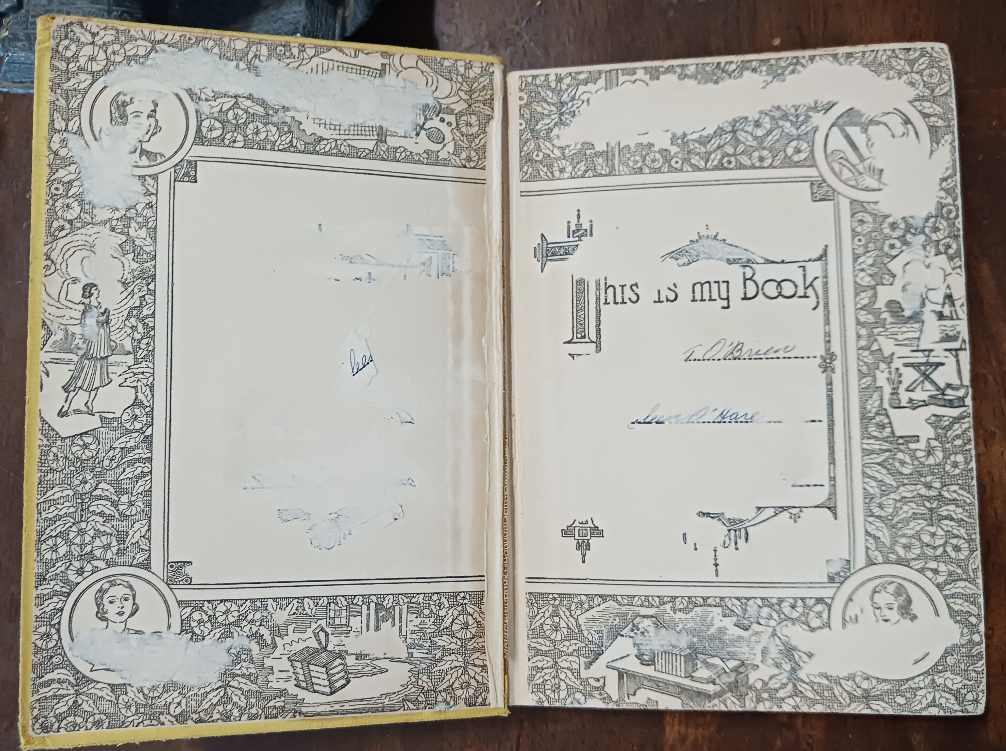 Beneath the Crimson Brier Bush (Kay Tracey Mystery Stories)