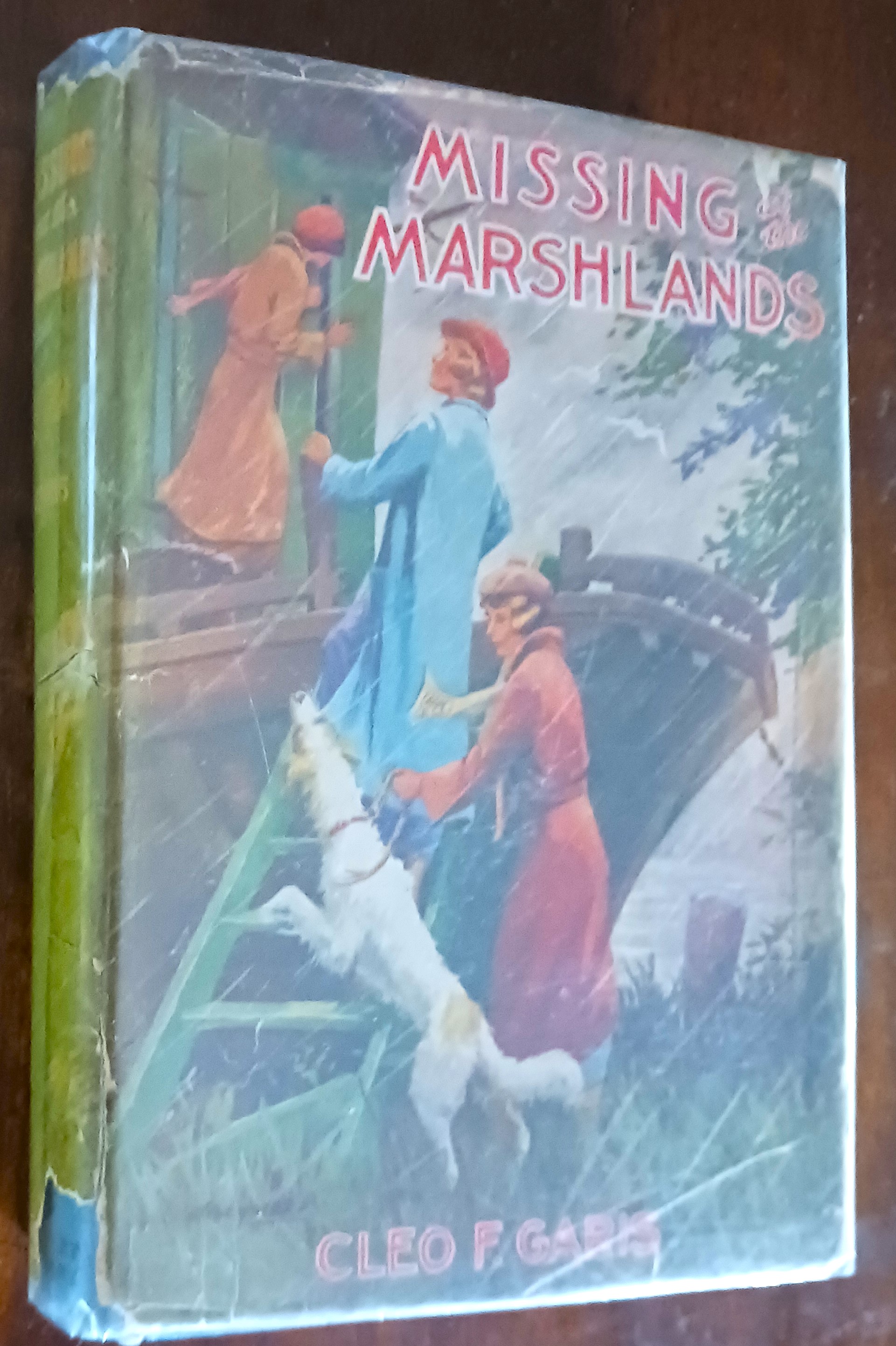 Missing at [the] Marshlands (The Arden Blake Mystery Series)