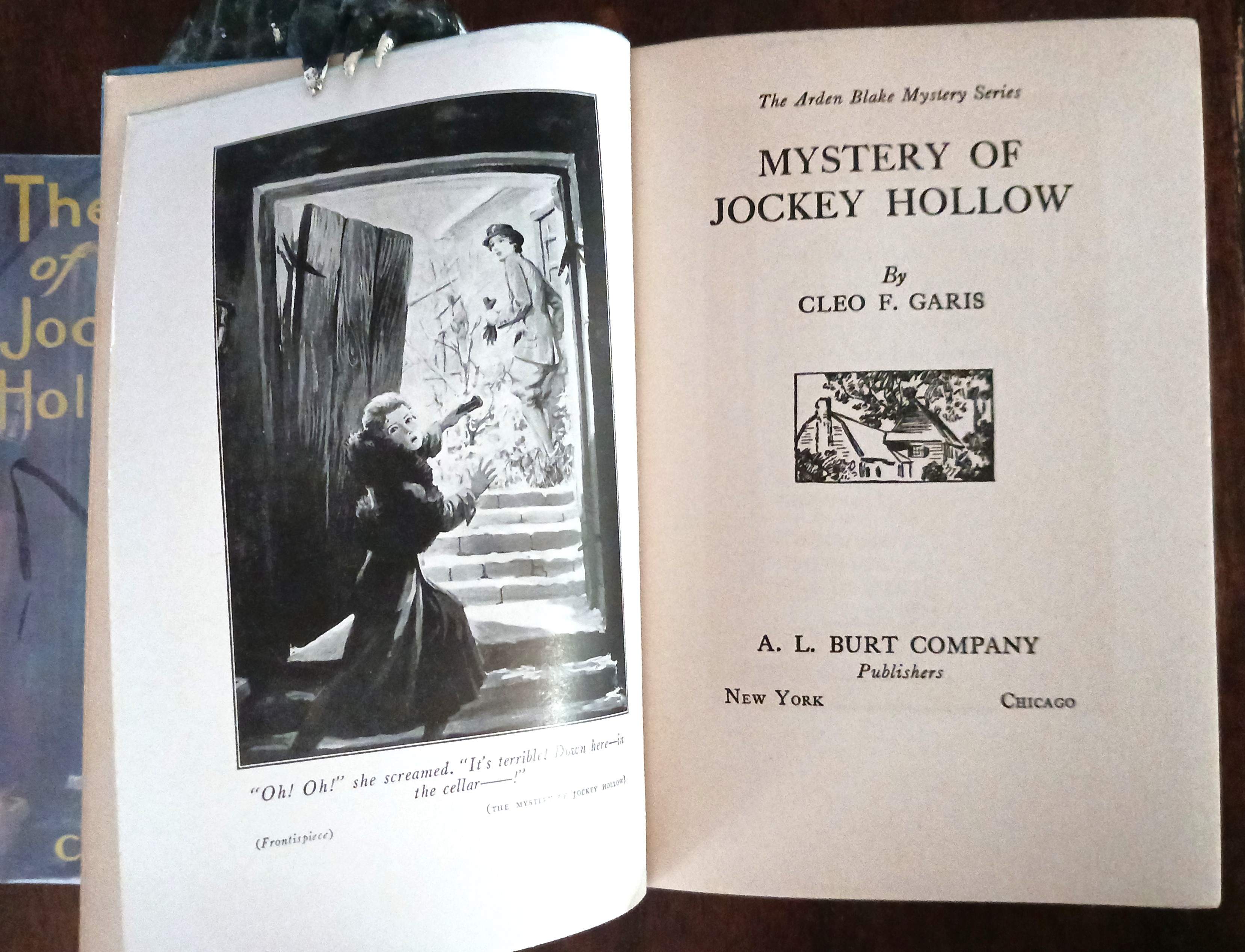 [The] Mystery of Jockey Hollow (The Arden Blake Mystery Series)
