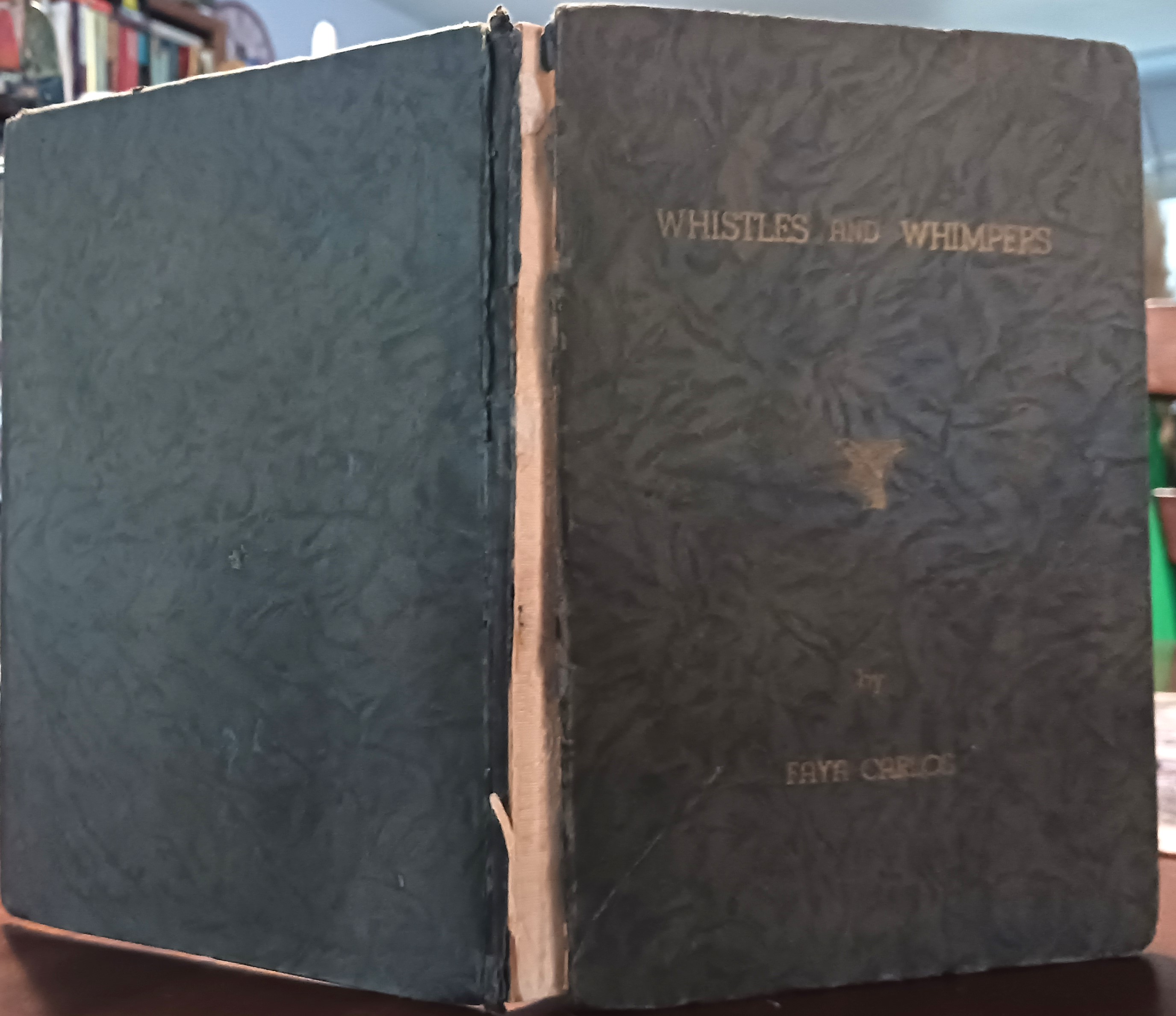 Whistles and Whimpers (Lyrics of a Lunger)