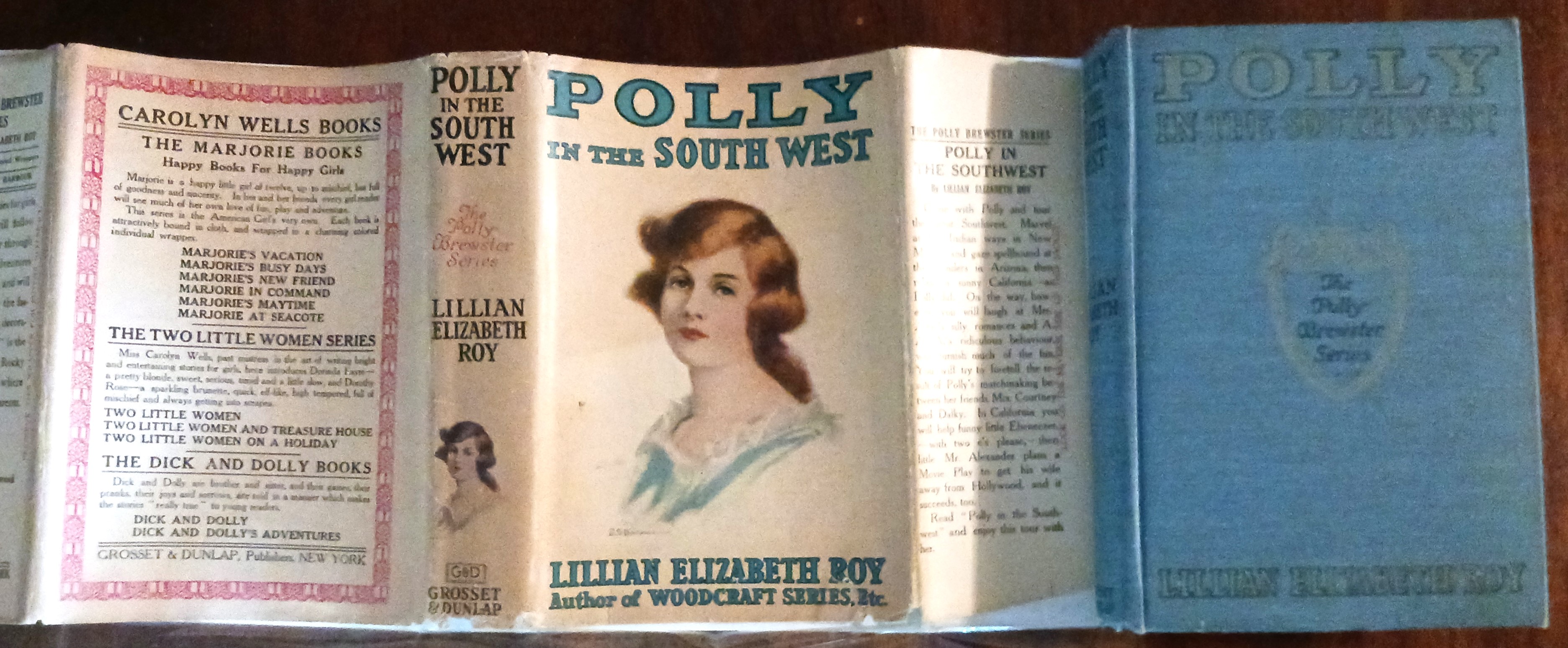 Polly in the South West (Polly Brewster series)