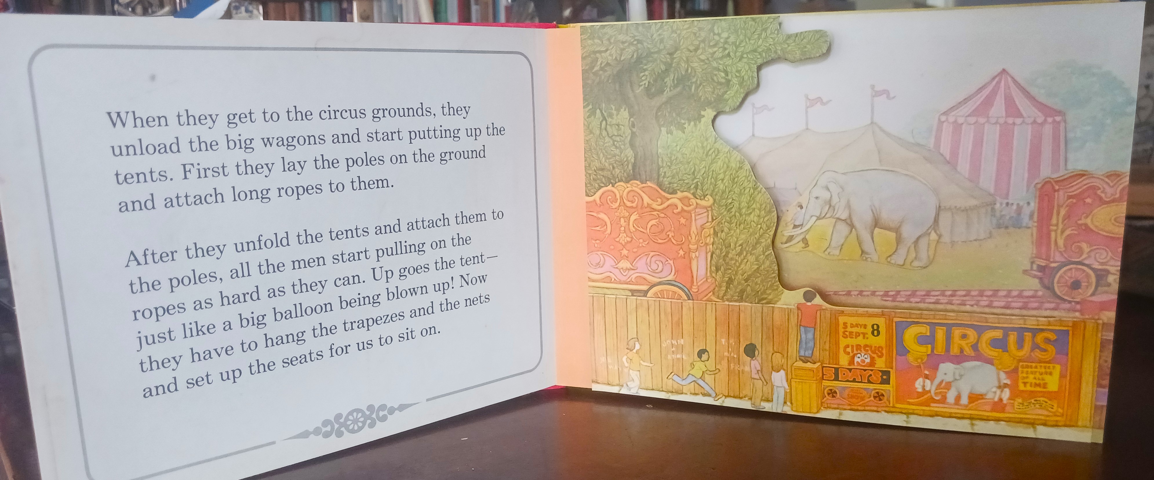 The Pop-Up Action Circus Book (A Child Guidance Book)