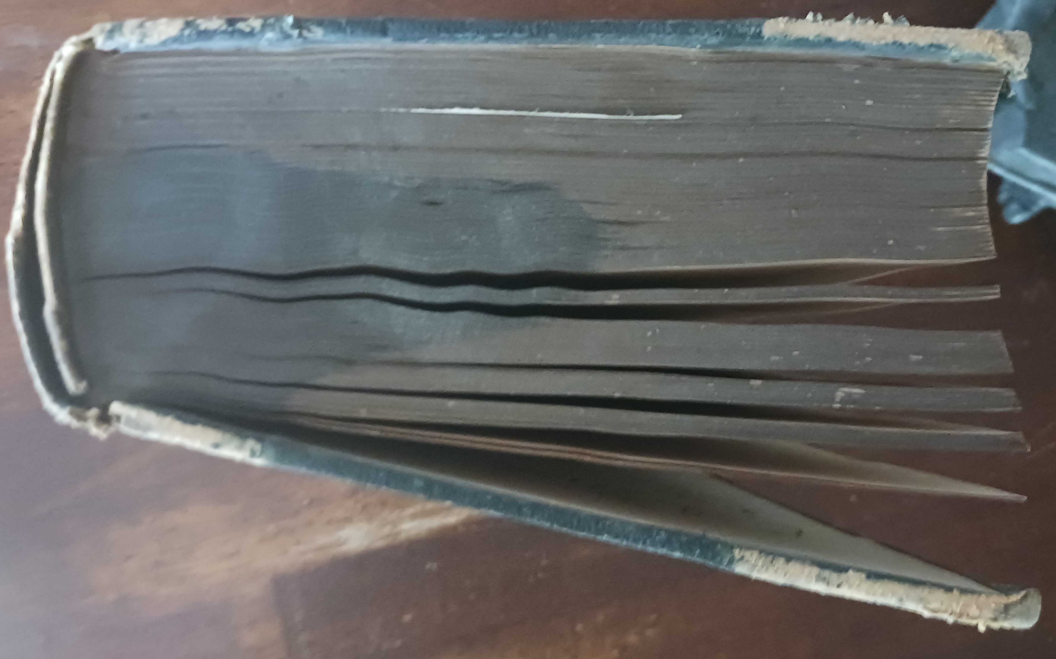 A Treatise on the Diseases of the Nervous System (Appleton's Medical Library)