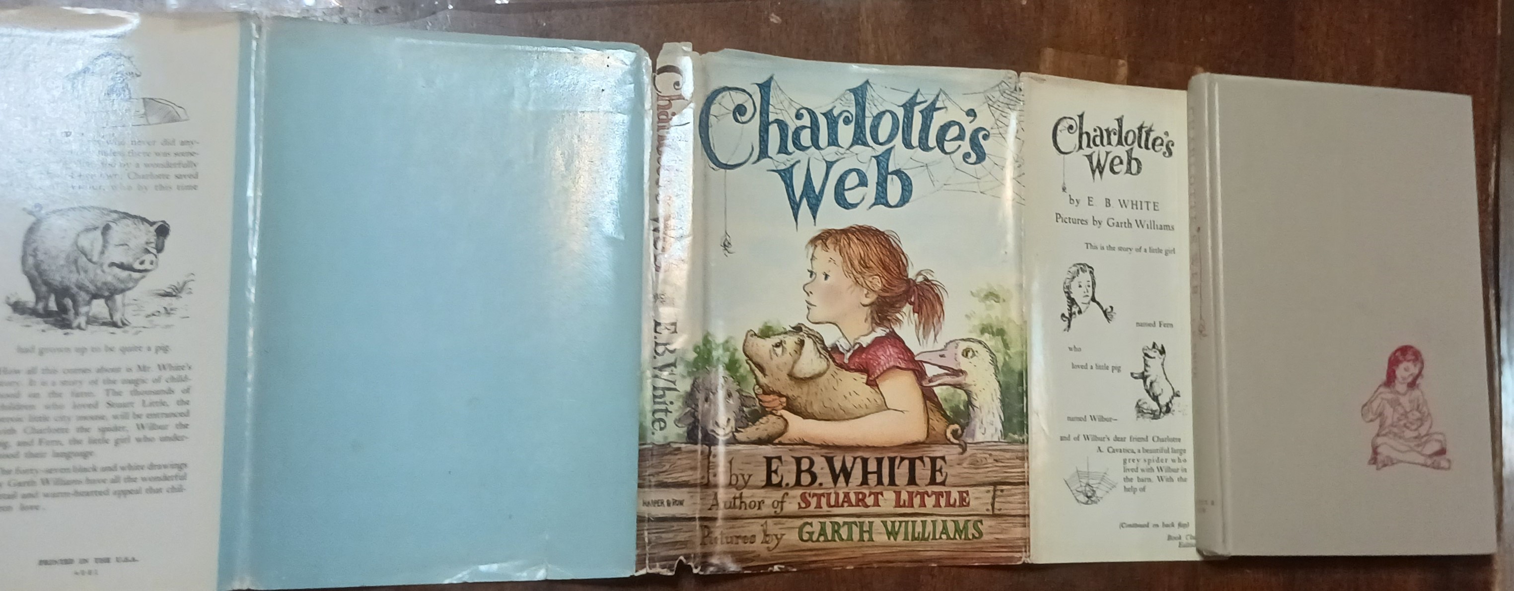 Charlotte's Web
