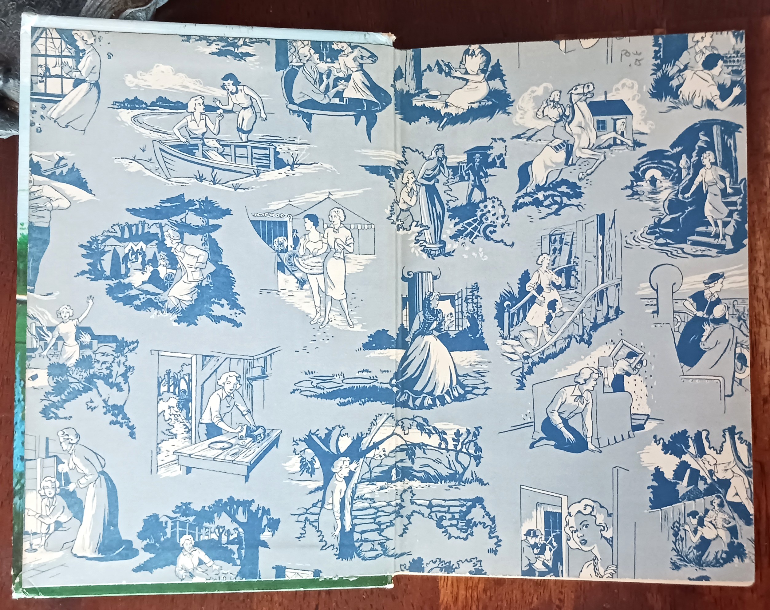 The Password to Larkspur Lane (Nancy Drew Mystery Stories)