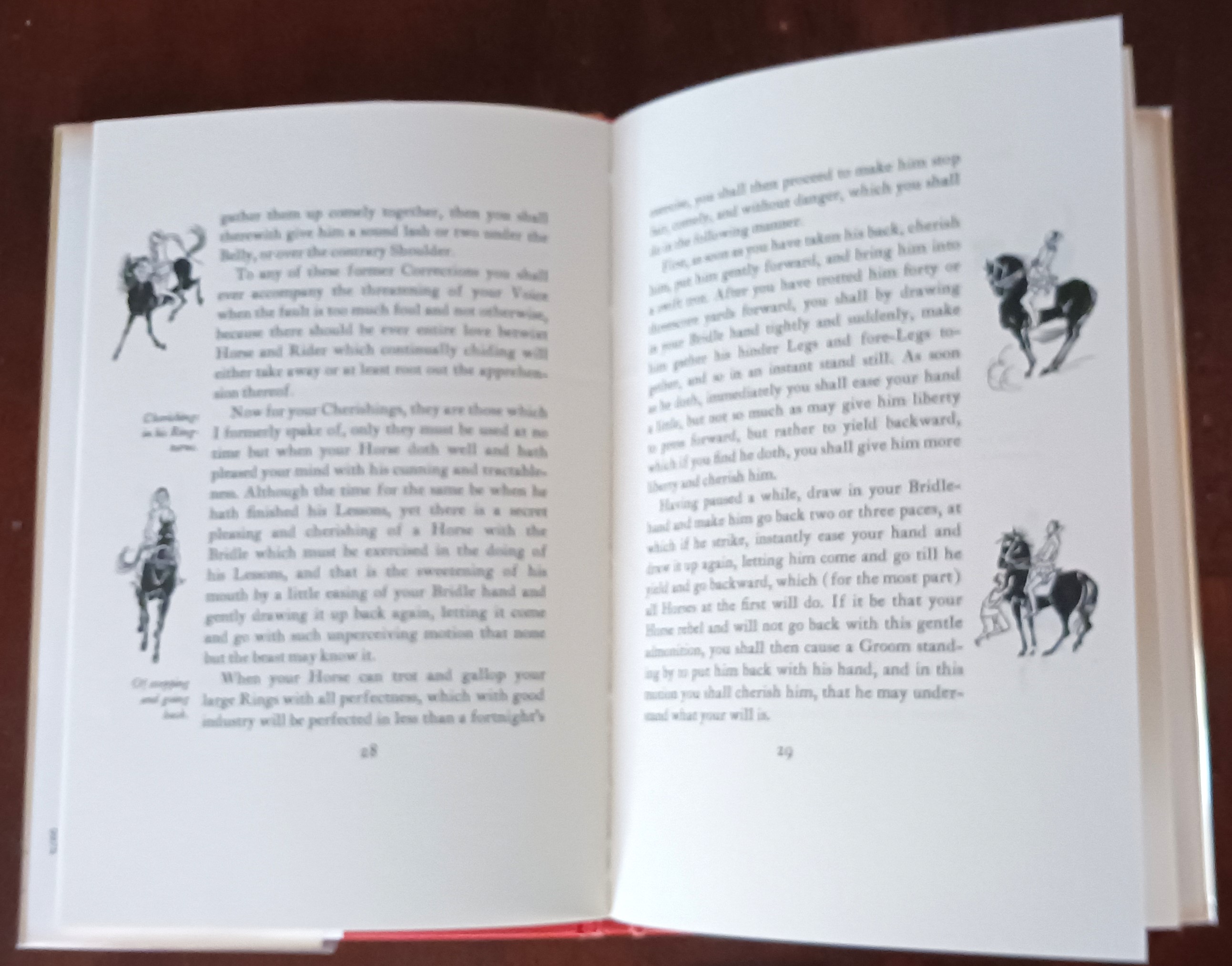 Image for The Compleat Horseman The Compleat Horseman