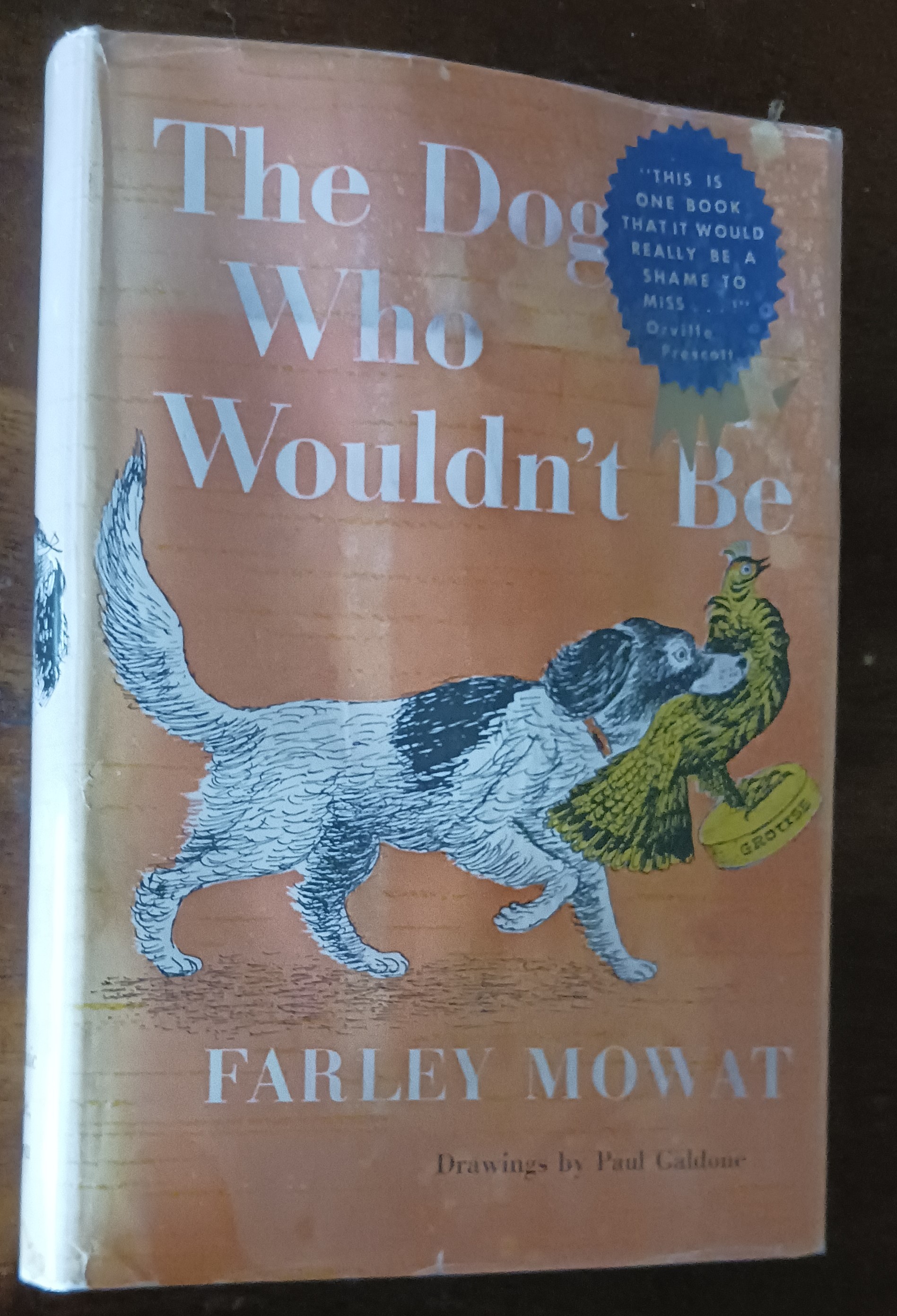 Image for The Dog Who Wouldn't Be The Dog Who Wouldn't Be