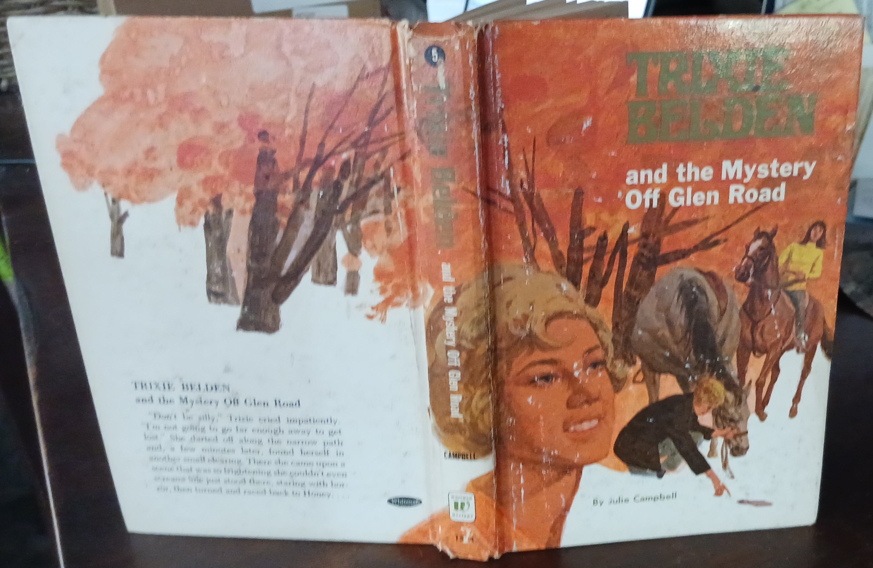 Image for Trixie Belden and the Mystery off Glen Road Trixie Belden and the Mystery off Glen Road