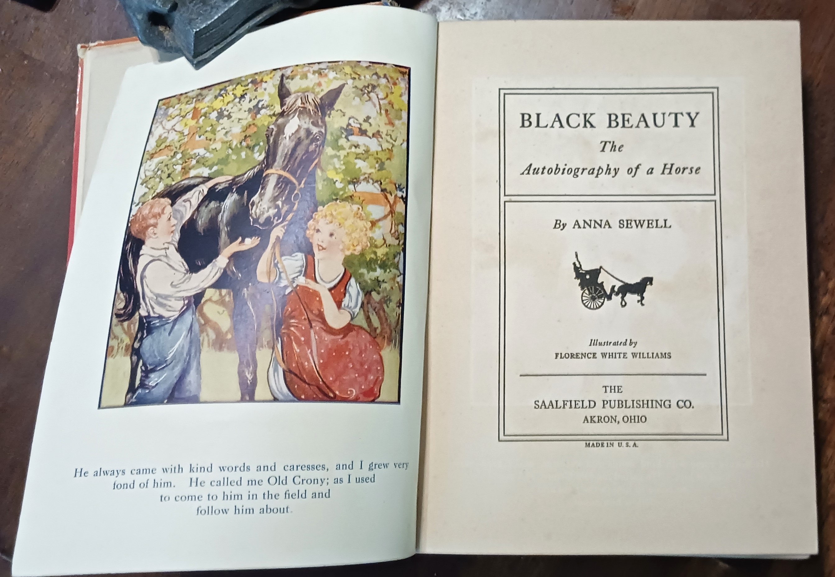 Black Beauty: The Autobiography of a Horse