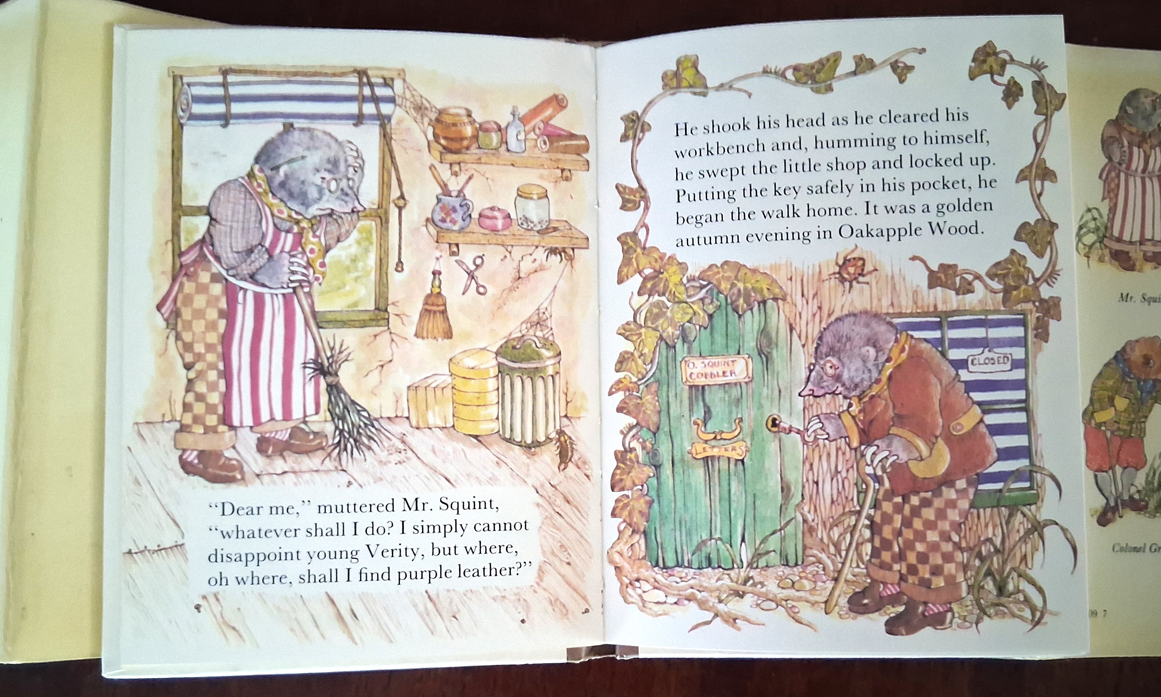 Image for Mr. Squint (An Oakapple Wood Story) Mr. Squint (An Oakapple Wood Story)