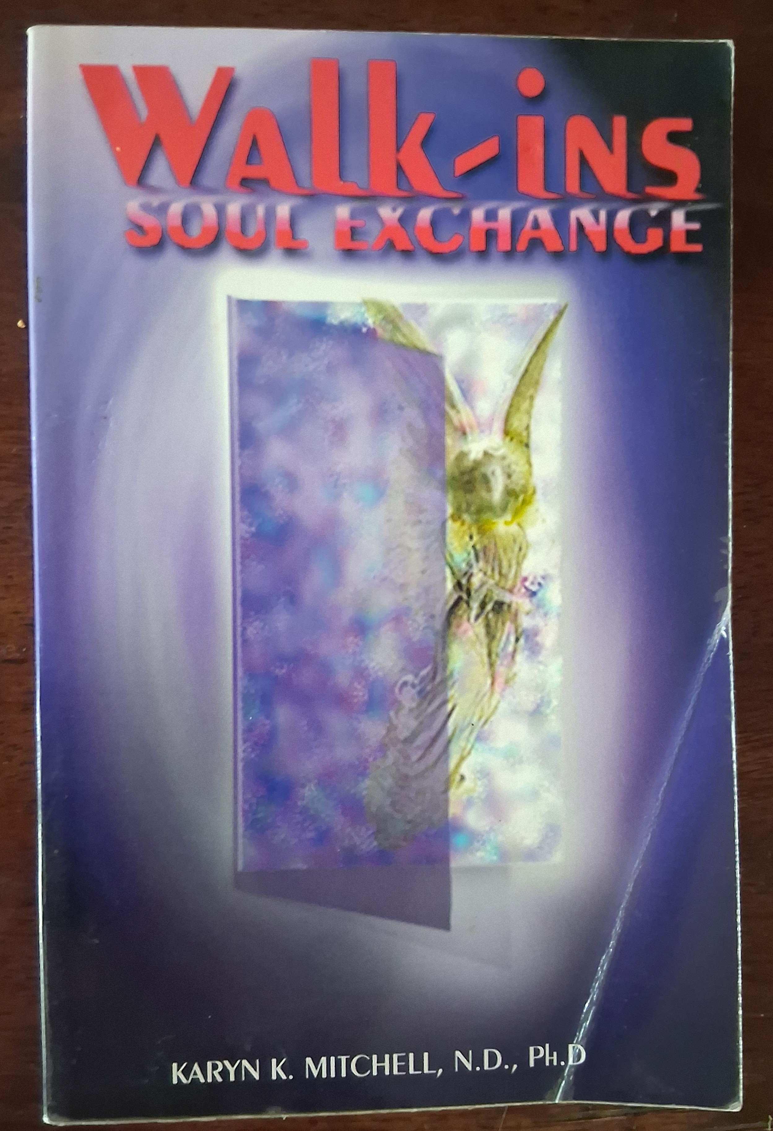 Image for Walk-Ins: Soul Exchange Walk-Ins: Soul Exchange