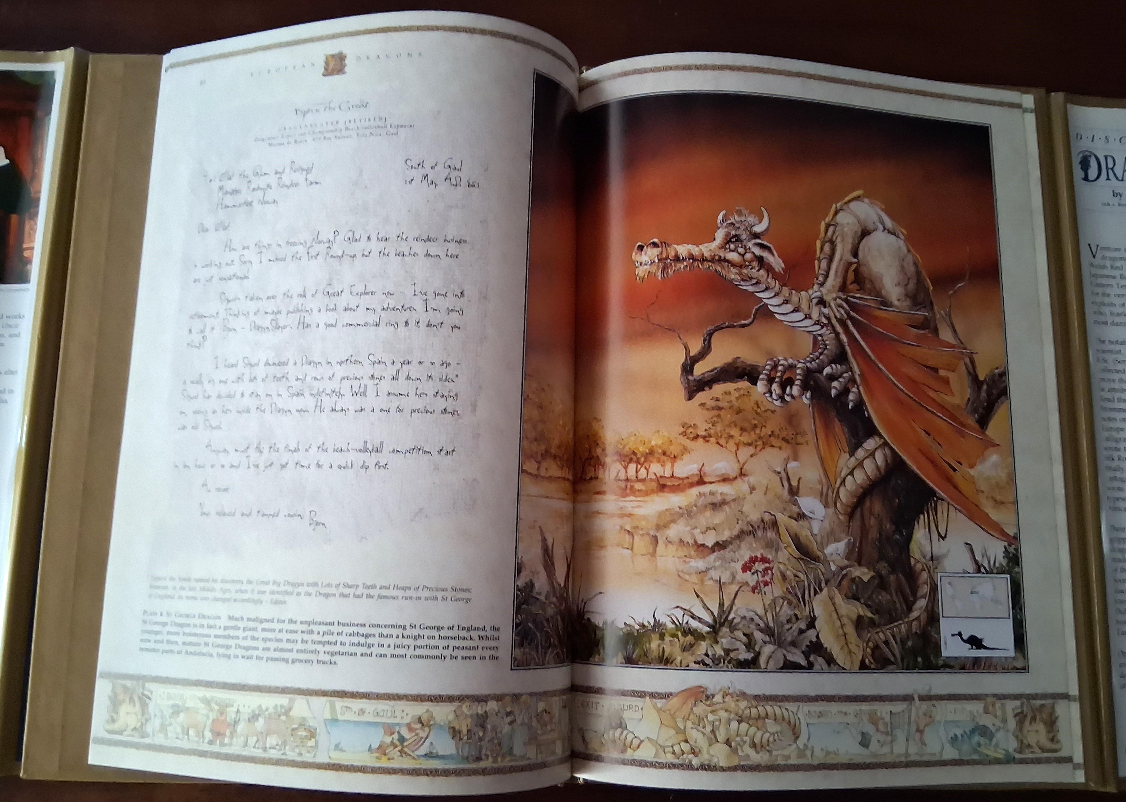 Image for The Discovery of Dragons The Discovery of Dragons