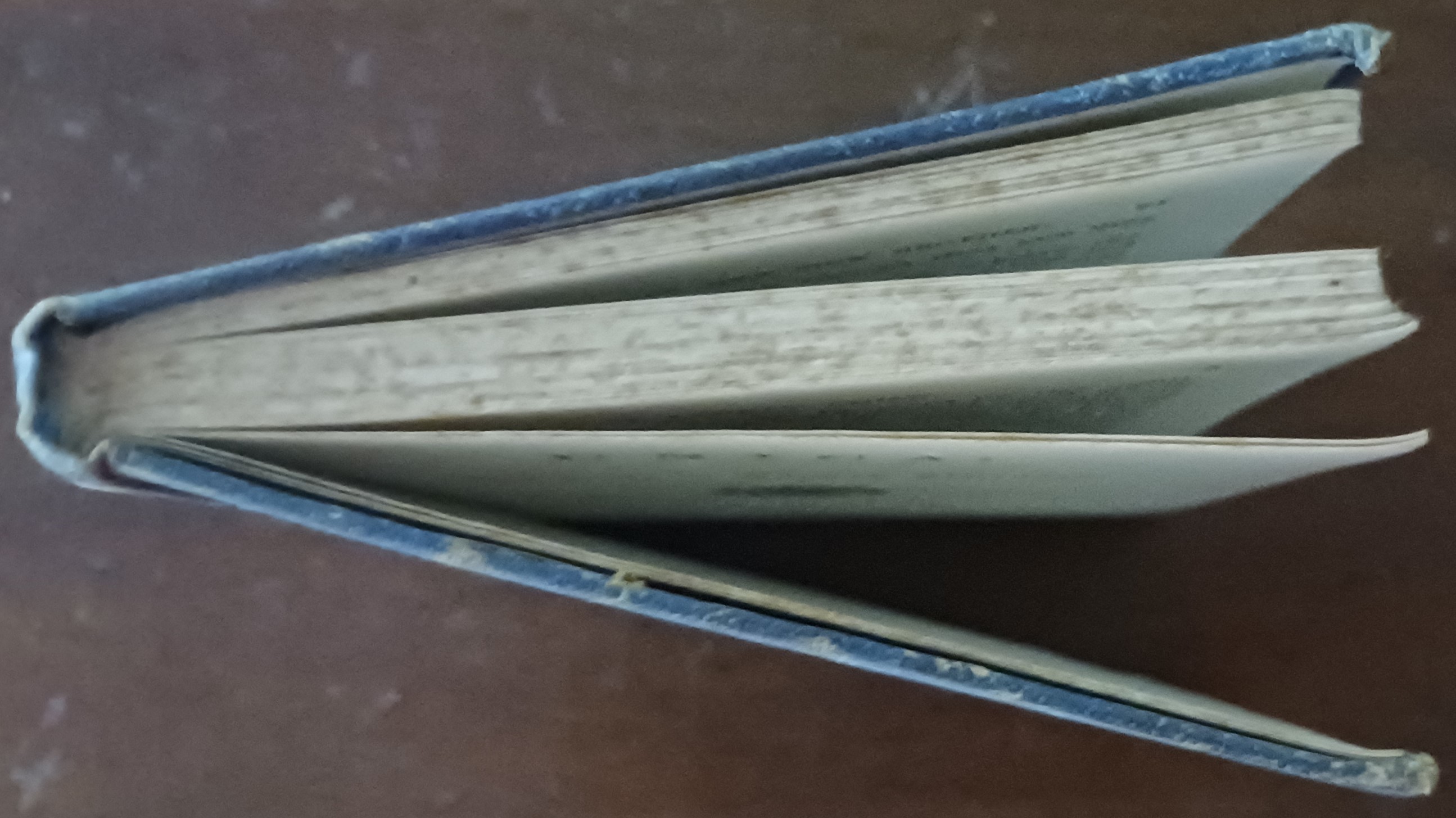 Image for Unica; A Story for a Sunday Afternoon (Around the Globe Library) Unica; A Story for a Sunday Afternoon (Around the Globe Library)