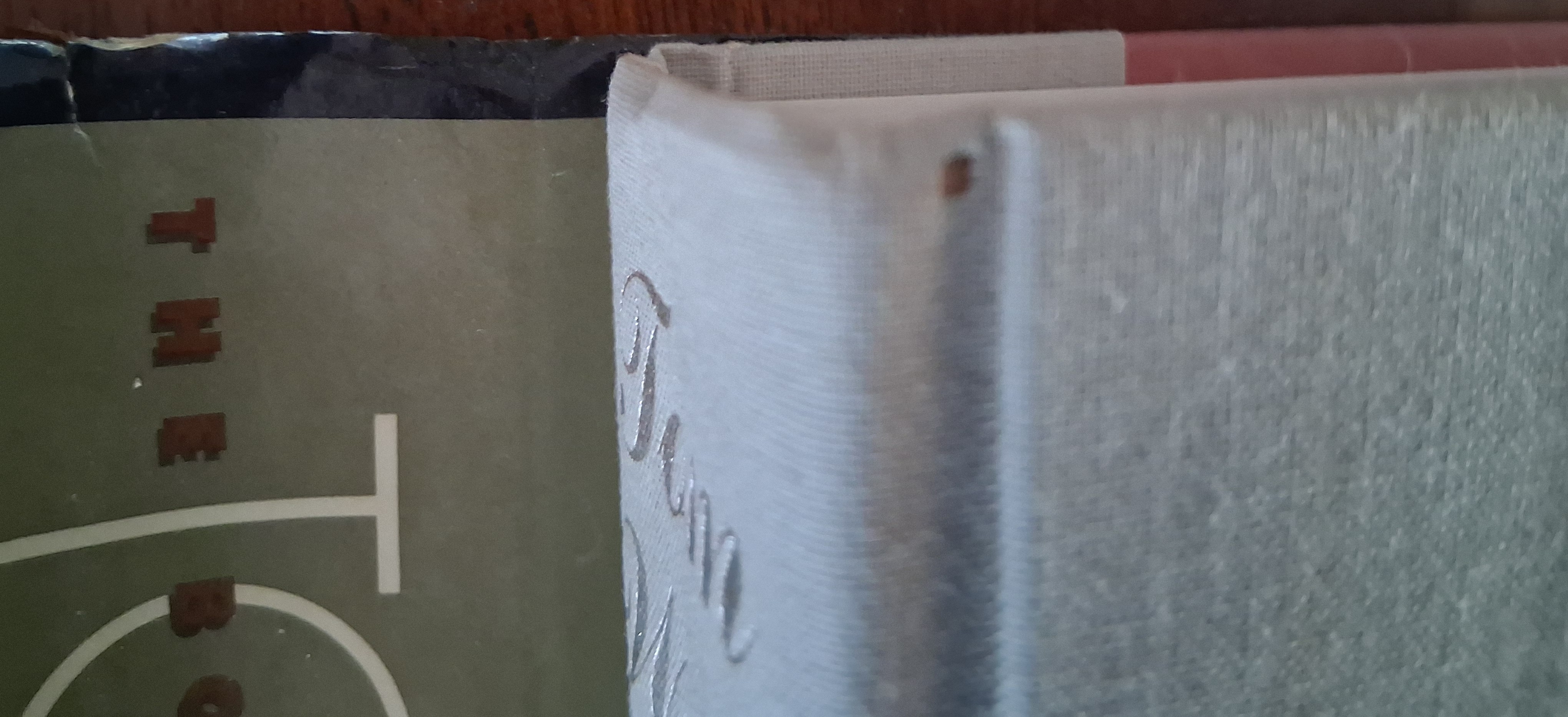 Image for The Bonfire of the Vanities The Bonfire of the Vanities