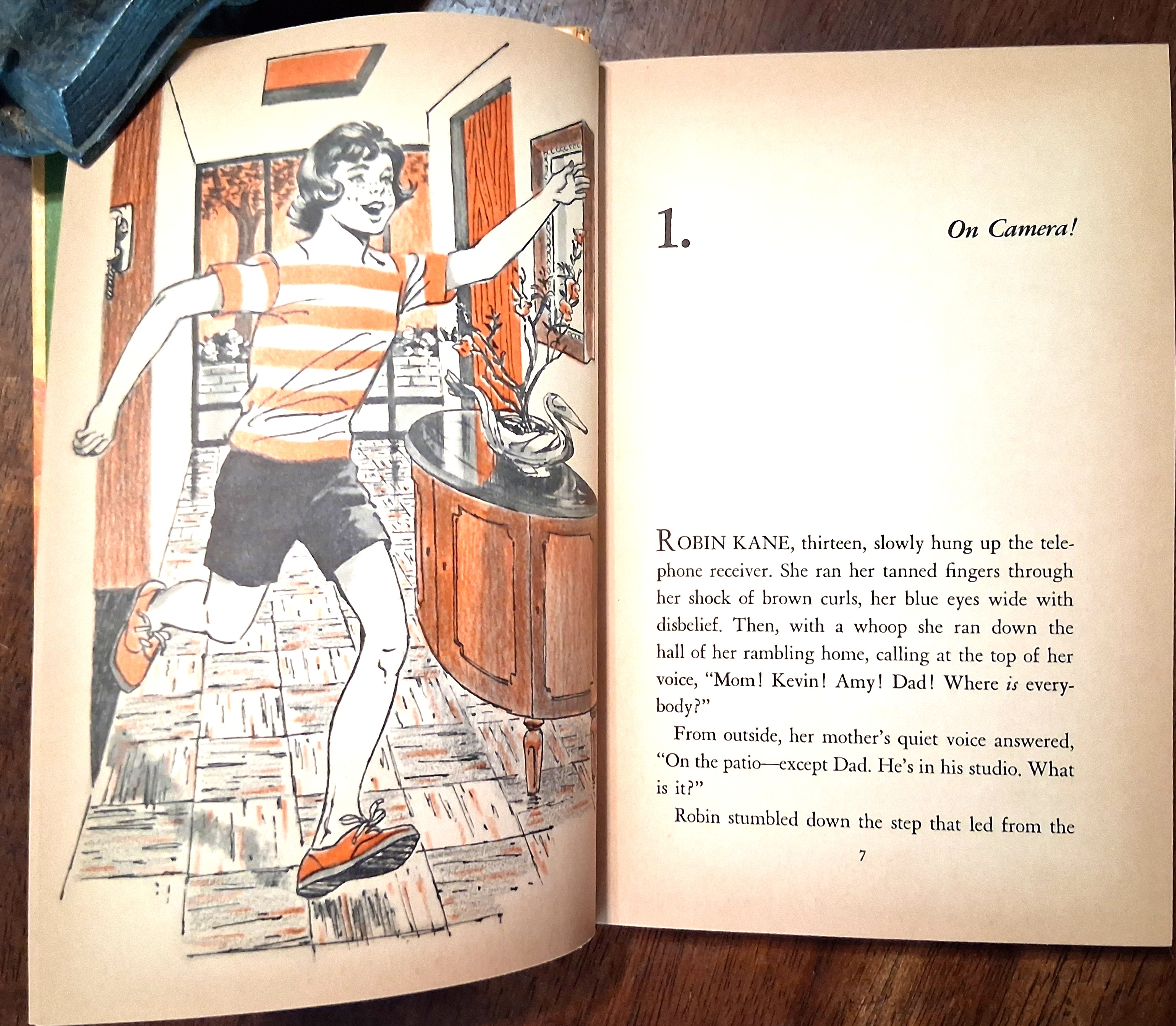 Robin Kane: The Mystery of the Blue Pelican