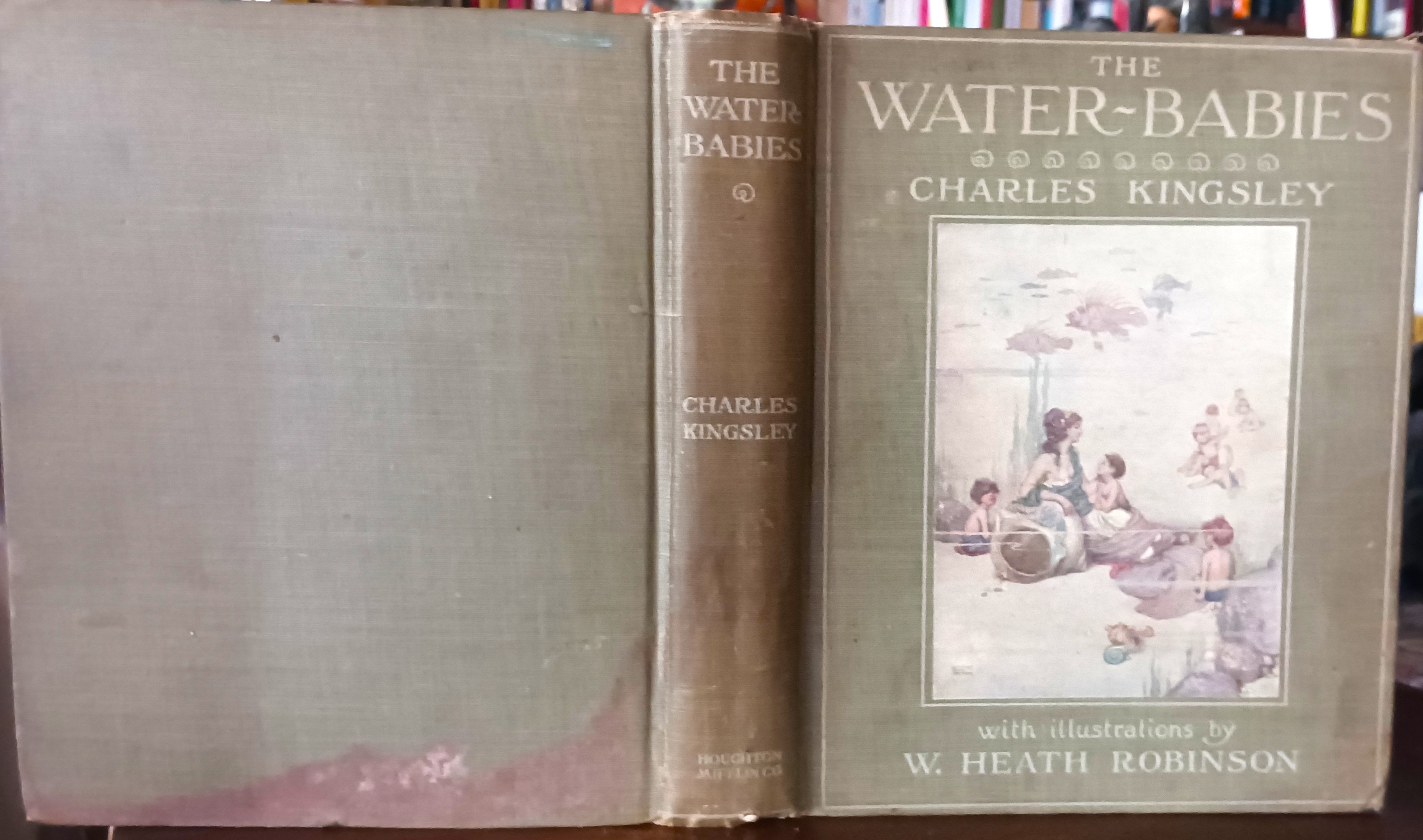 The Water Babies: A Fairy Tale for a Land Baby