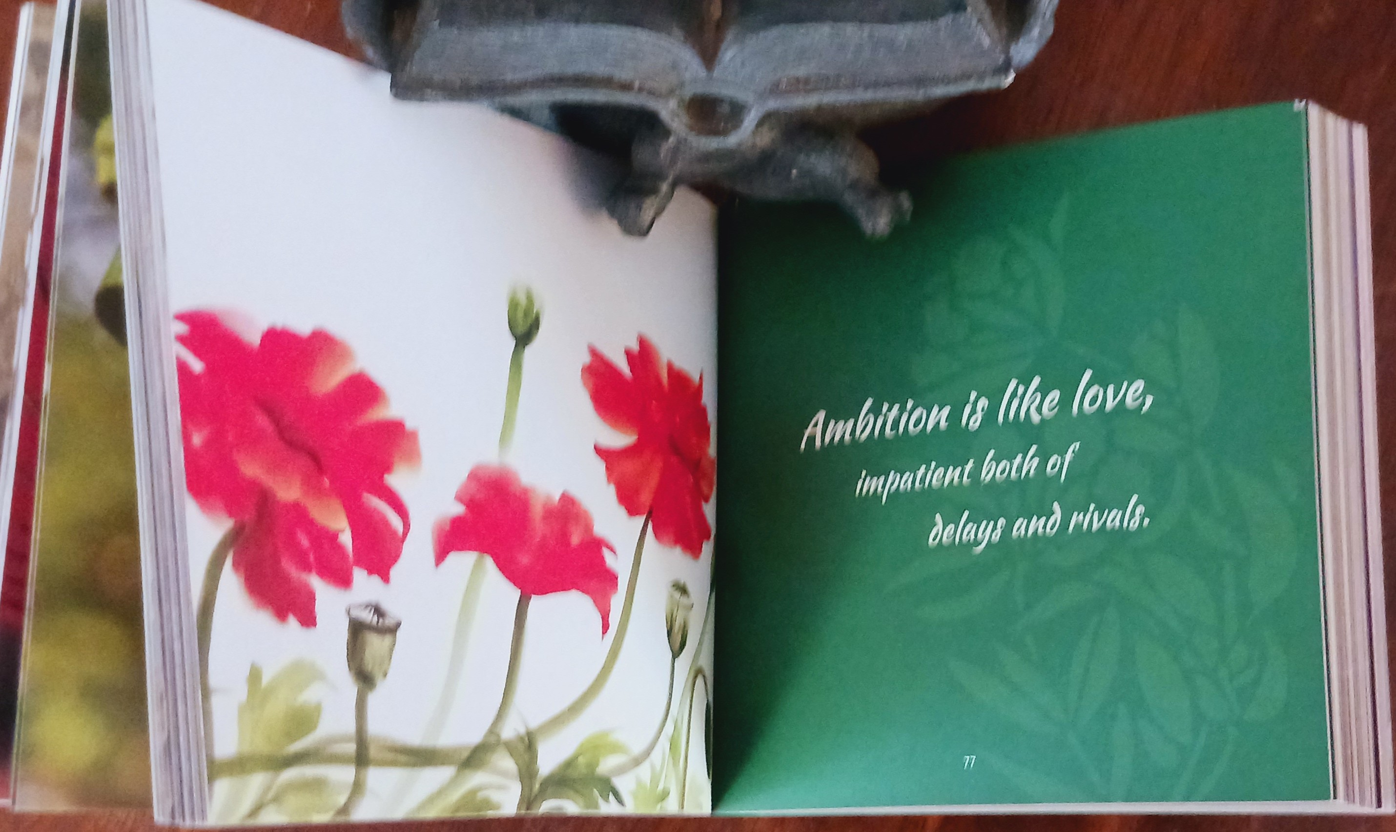 Embracing the Buddha Within