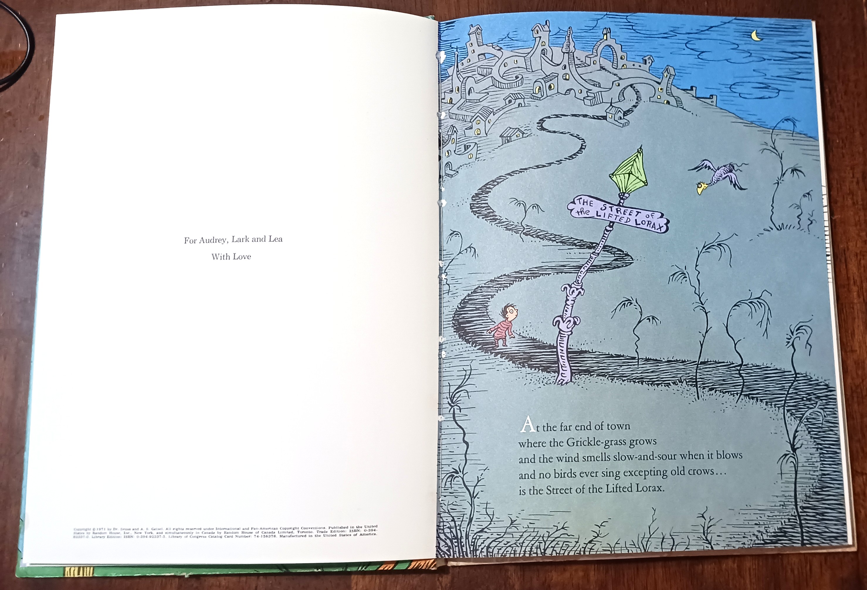 Image for The Lorax The Lorax