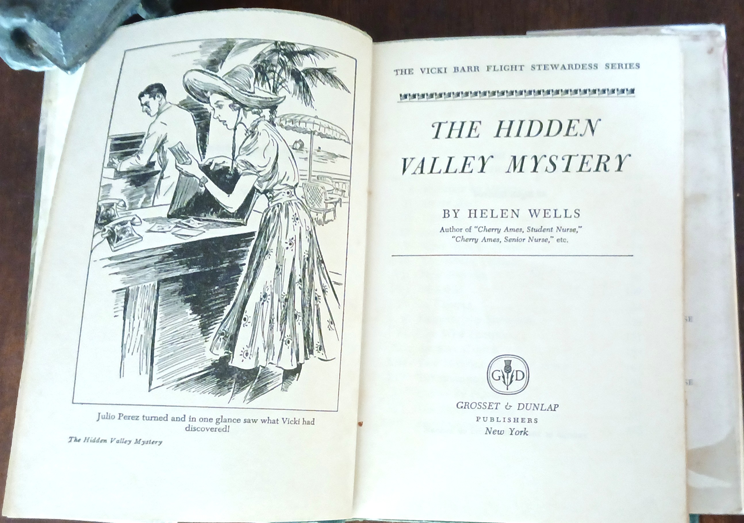 The Hidden Valley Mystery (Vicki Barr Flight Stewardess Series)