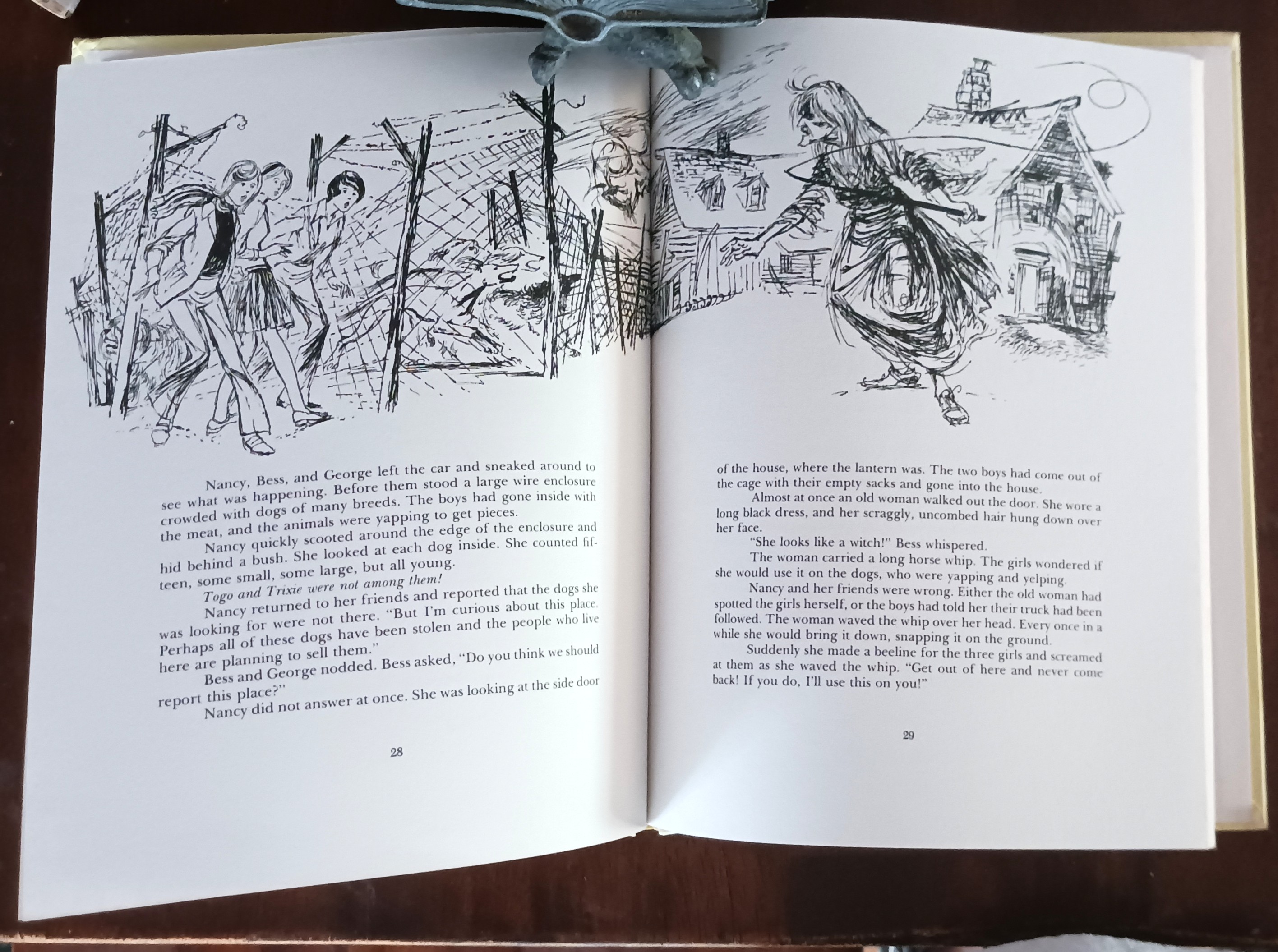 Nancy Drew: Mystery of the Lost Dogs (A Picture Book)