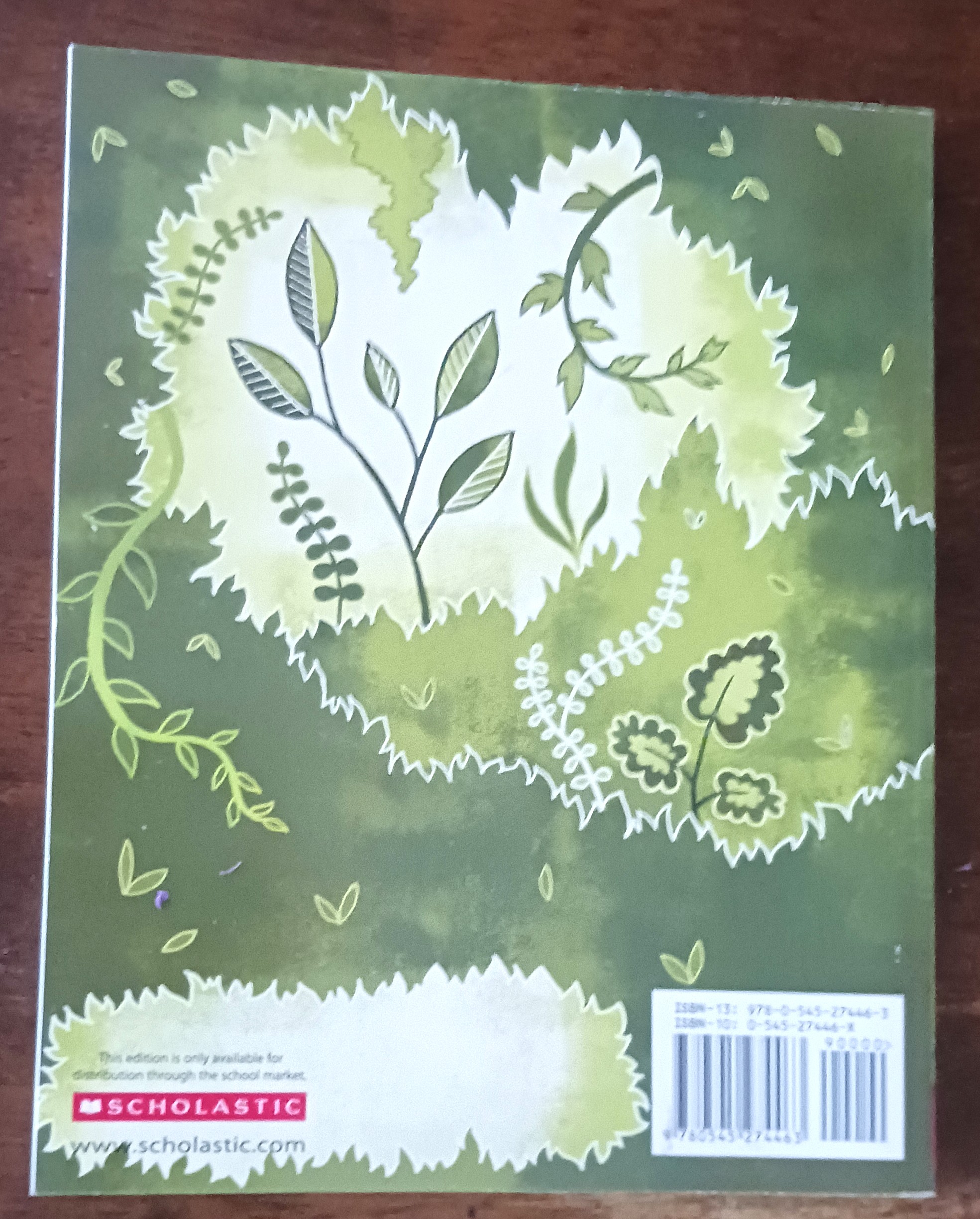 Heroes of the Environment: True Stories of People Who Are Helping to Protect Our Planet by Harriet Rohmer (2009) Paperback