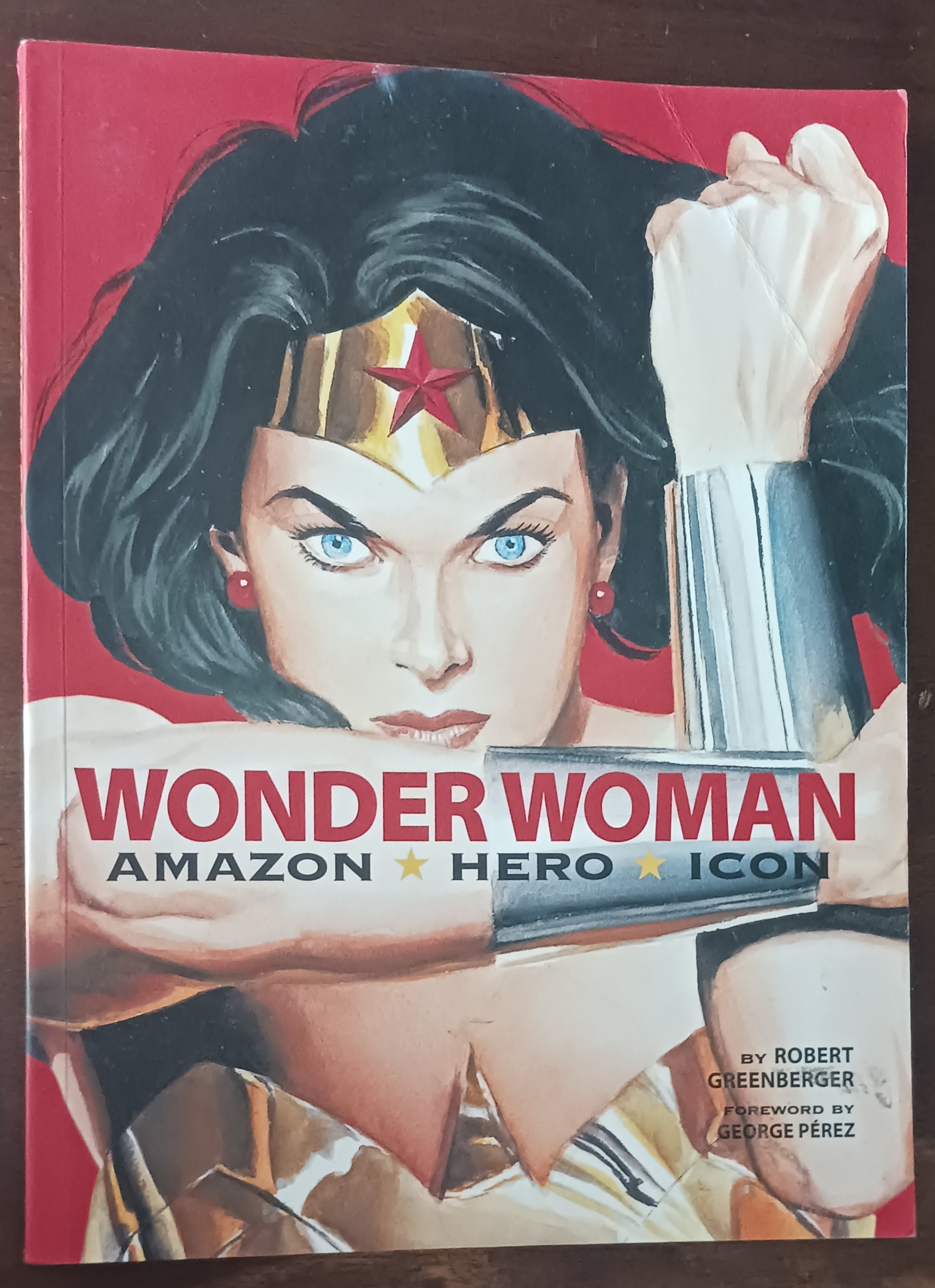 Image for Wonder Woman - Amazon Hero Icon Wonder Woman - Amazon Hero Icon