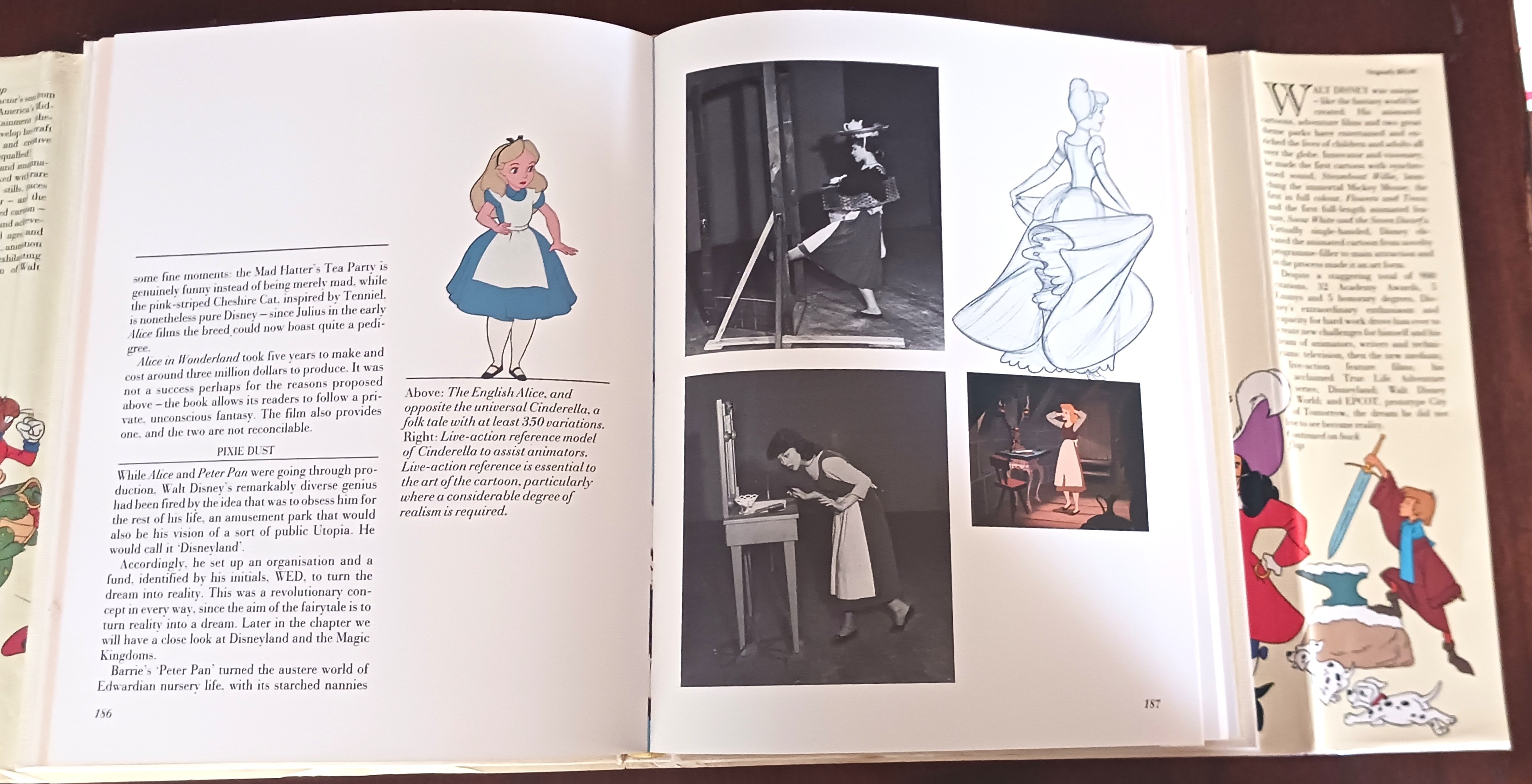 Image for Walt Disney's World of Fantasy Walt Disney's World of Fantasy