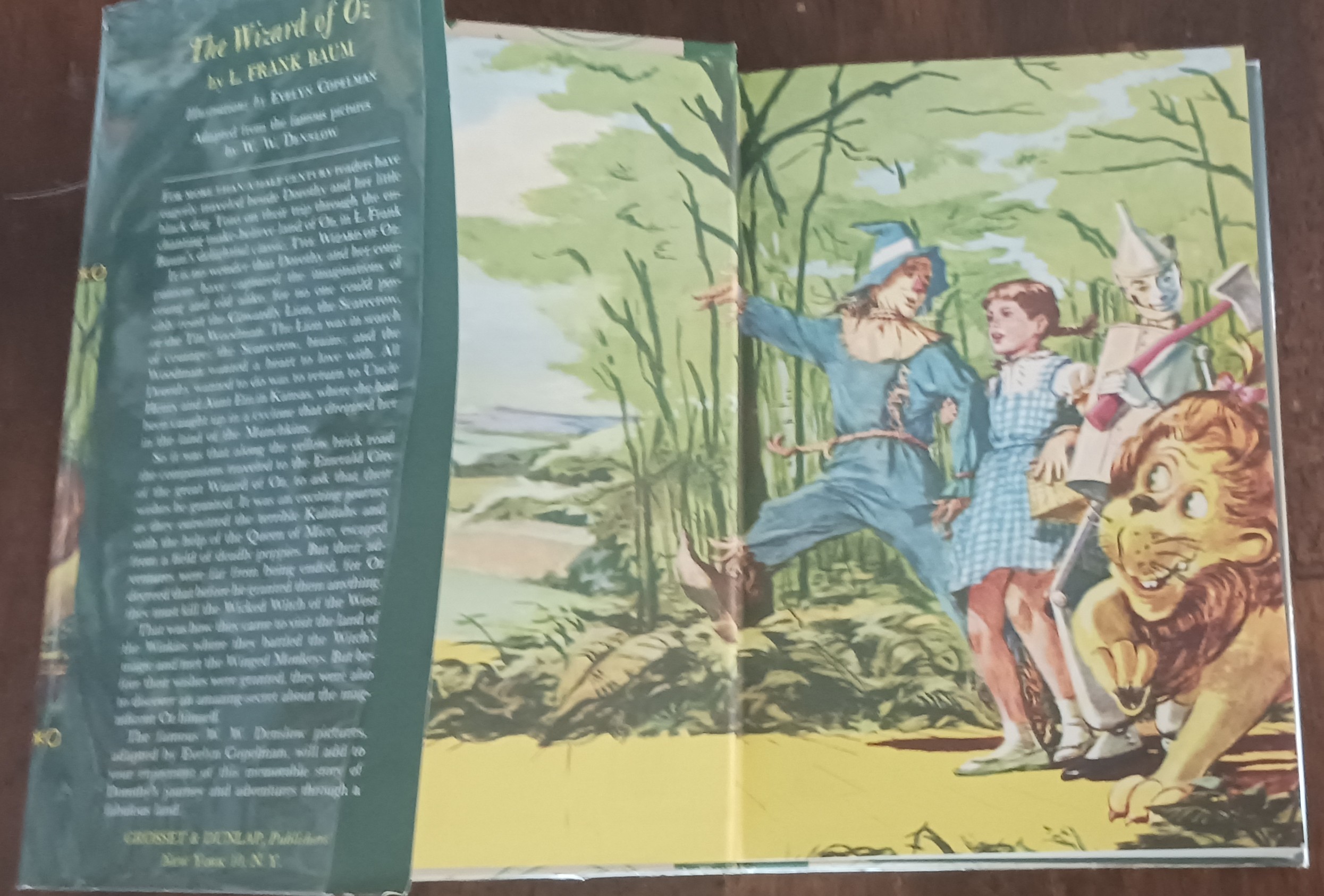 The Wizard of Oz (Illustrated Junior Library)