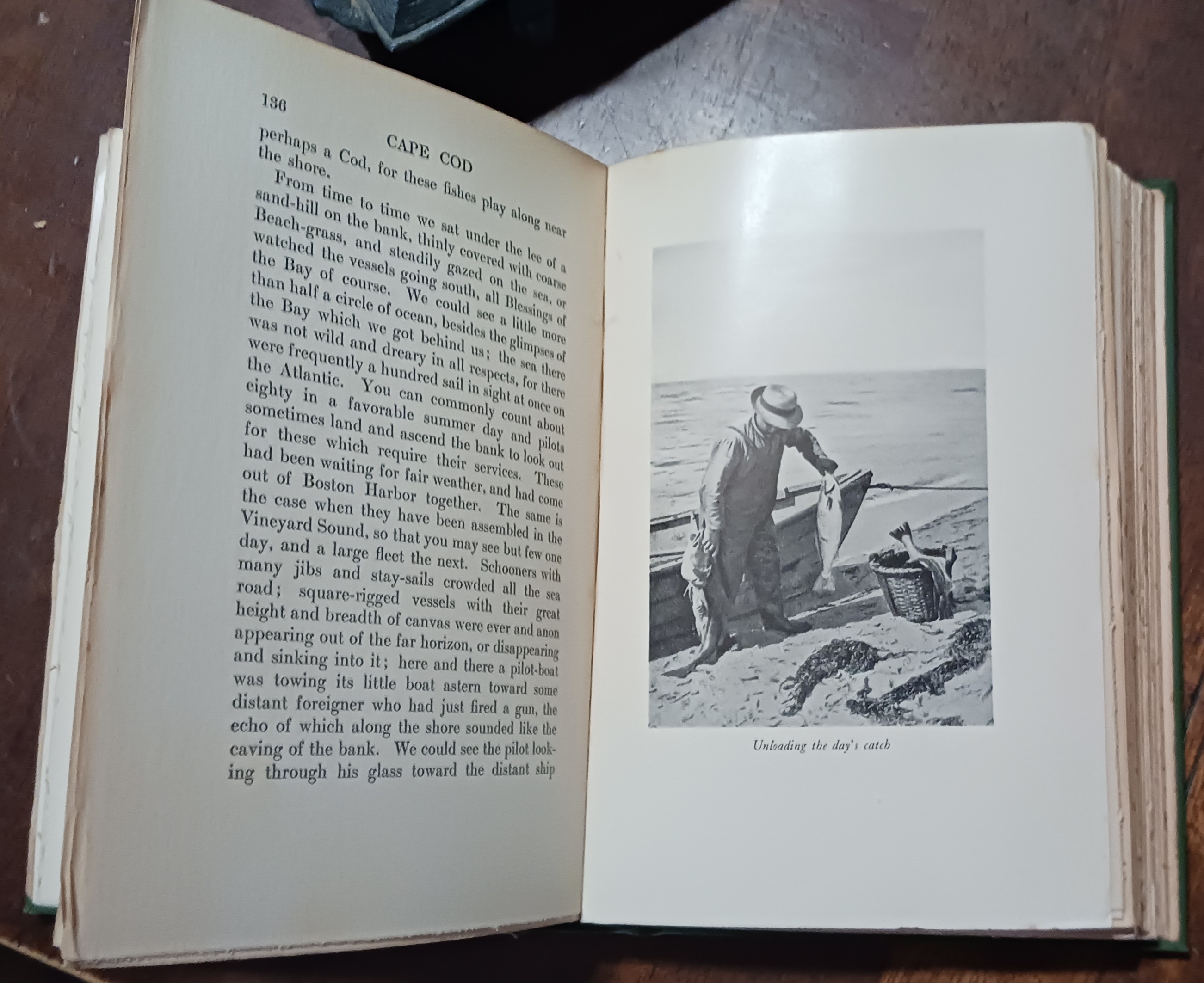 Image for Cape Cod Cape Cod