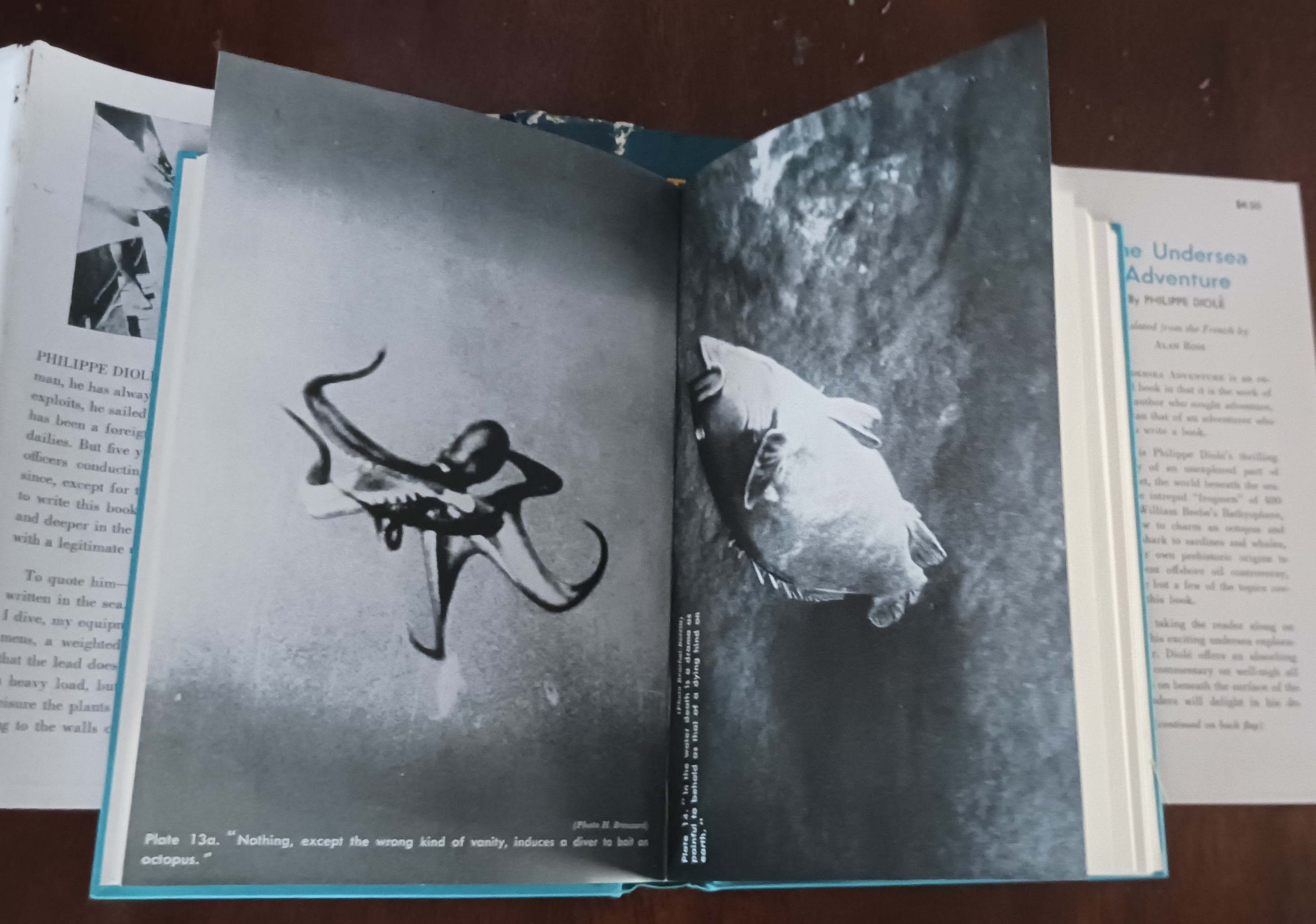 Image for The Undersea Adventure The Undersea Adventure