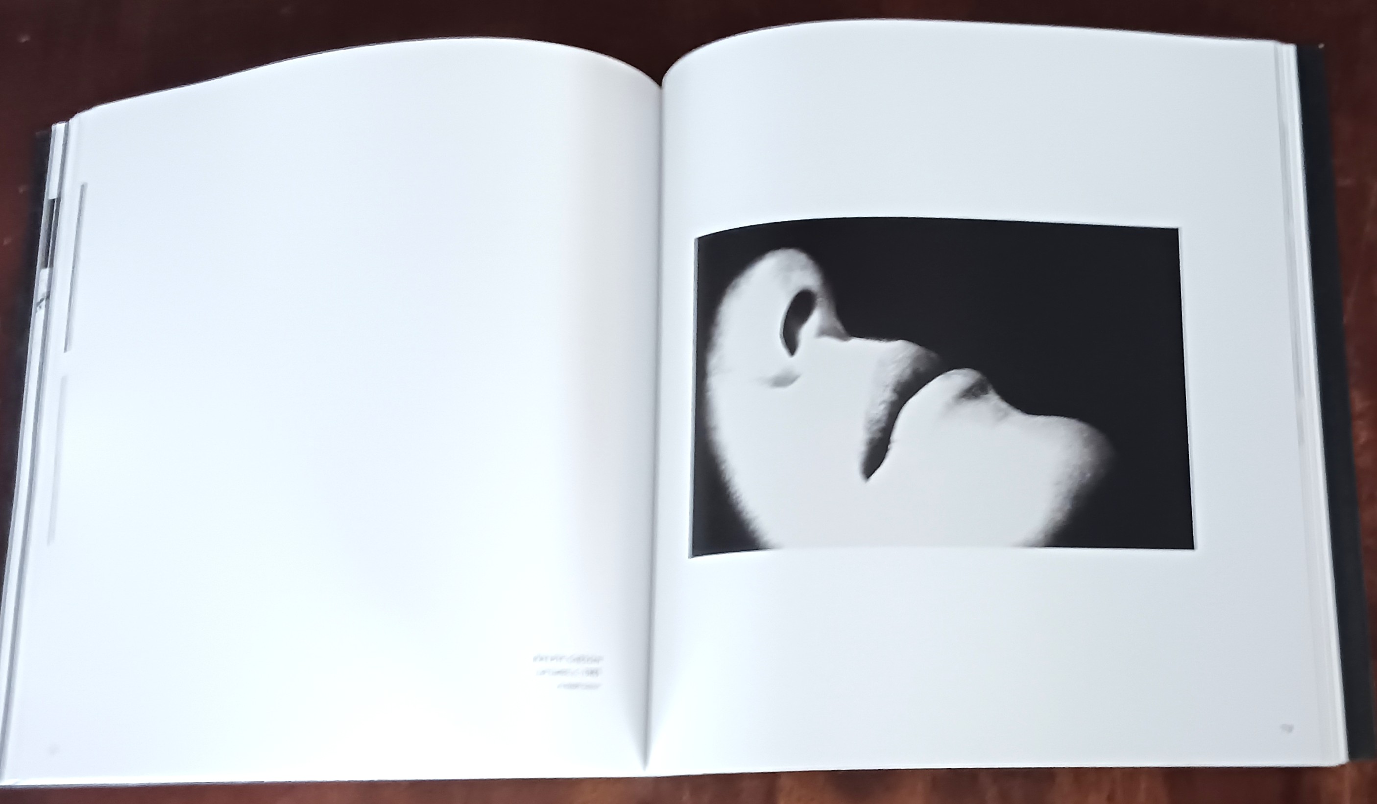 The Tao of Photography: Seeing Beyond Seeing