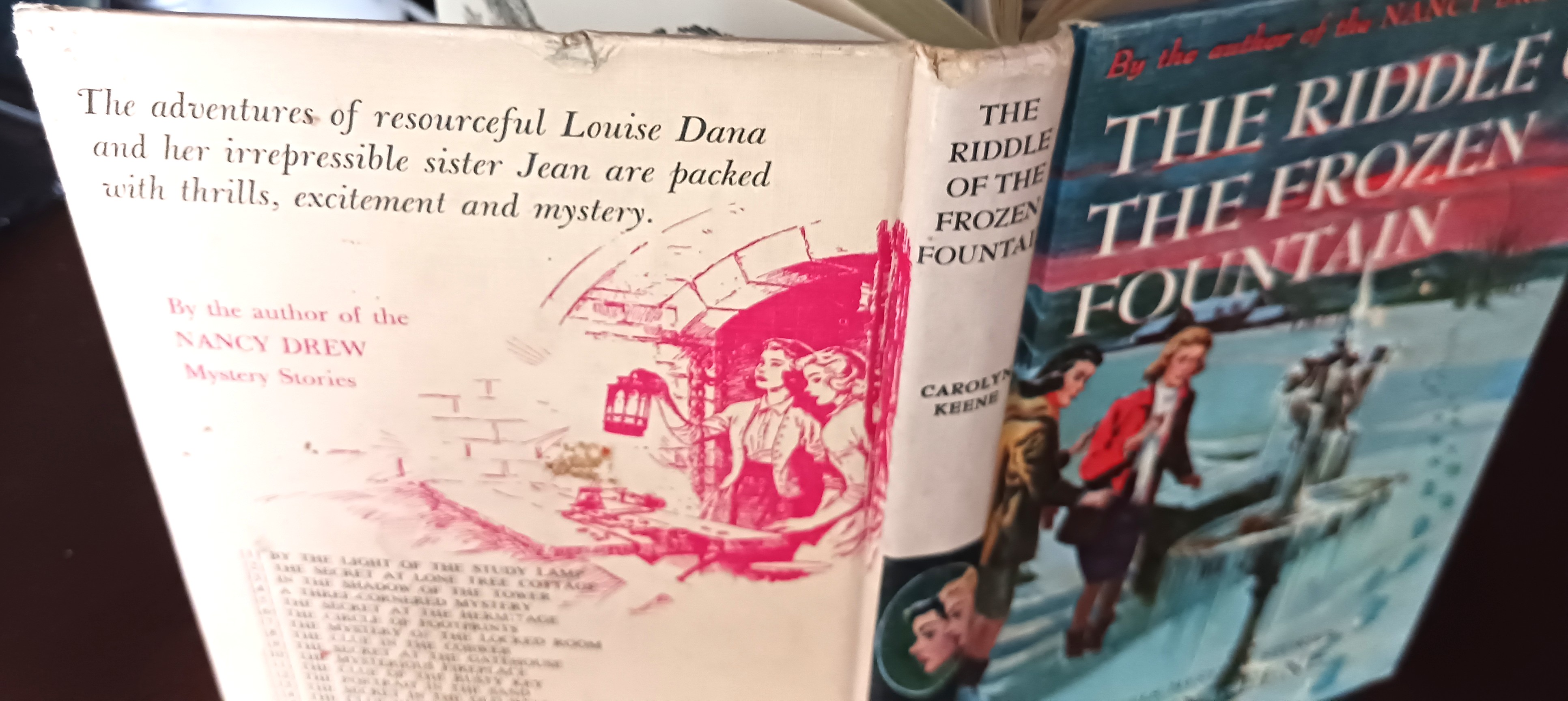 Image for The Riddle of the Frozen Fountain (The Dana Girls Mystery Stories) The Riddle of the Frozen Fountain (The Dana Girls Mystery Stories)